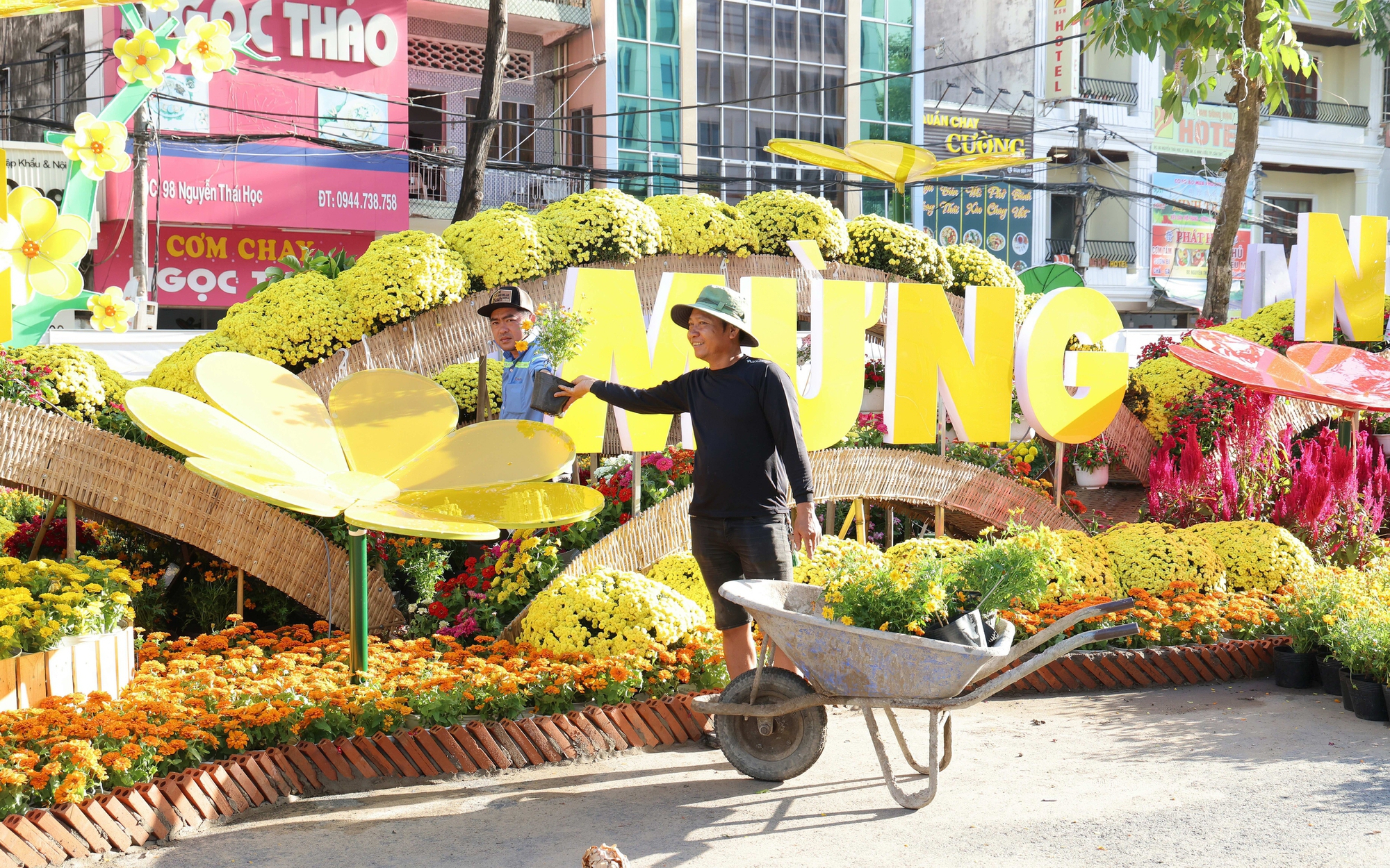 Đường Hoa Nghệ Thuật Cần Thơ Khai Mạc, Rực Rỡ Đón Xuân Bính Ngọ 2026