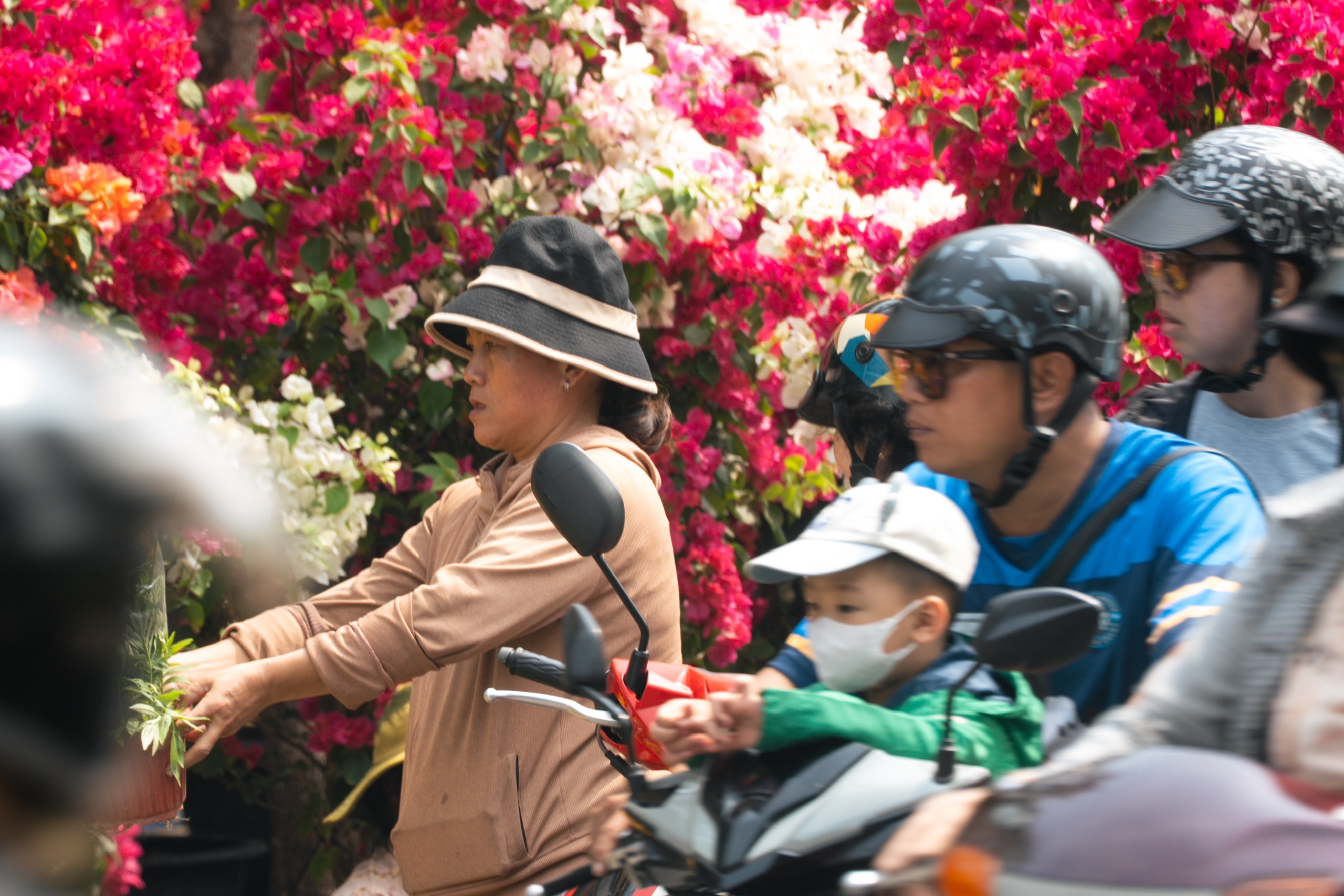 hoa Tết - Ảnh 4.