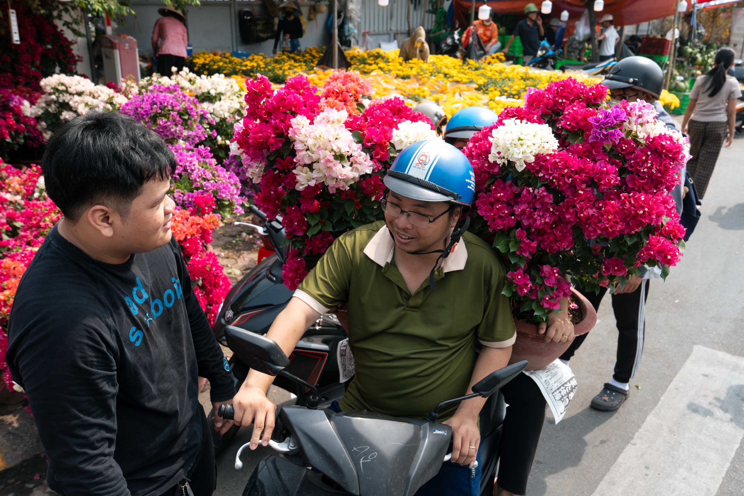 hoa Tết - Ảnh 3.