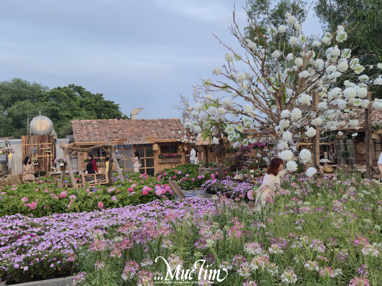 Tổng hợp các quán cà phê mở xuyên Tết tại TP.HCM dịp Tết Bính Ngọ 2026 - Ảnh 6.