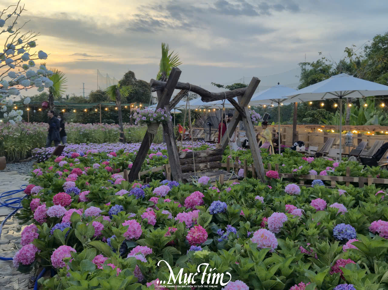 Tổng hợp các quán cà phê mở xuyên Tết tại TP.HCM dịp Tết Bính Ngọ 2026 - Ảnh 7.