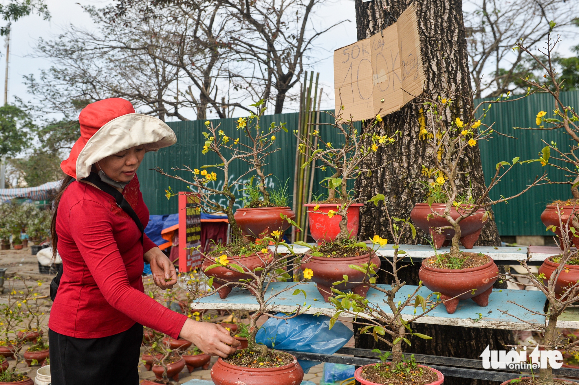 xả hàng - Ảnh 1.