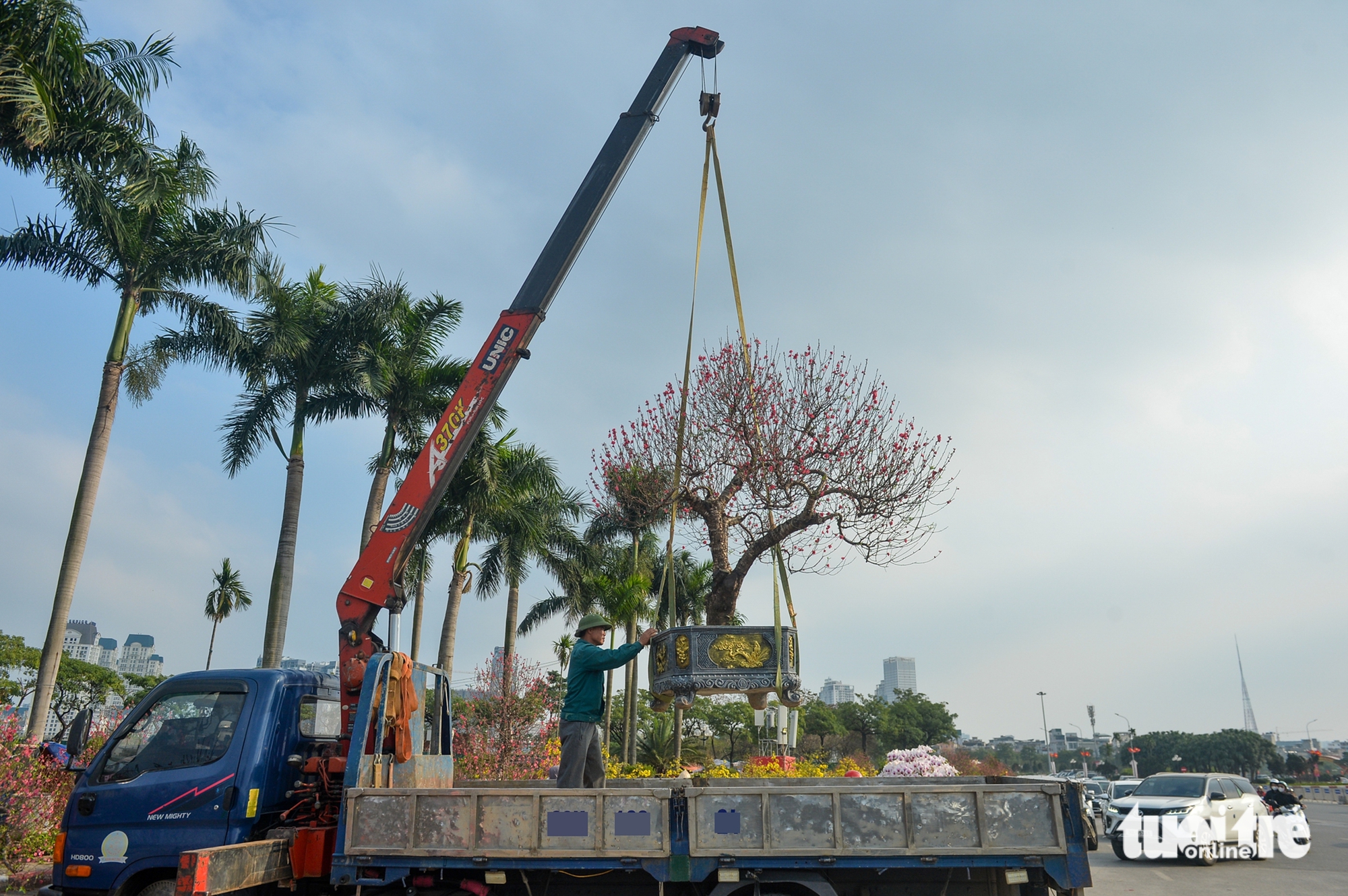 xả hàng - Ảnh 3.