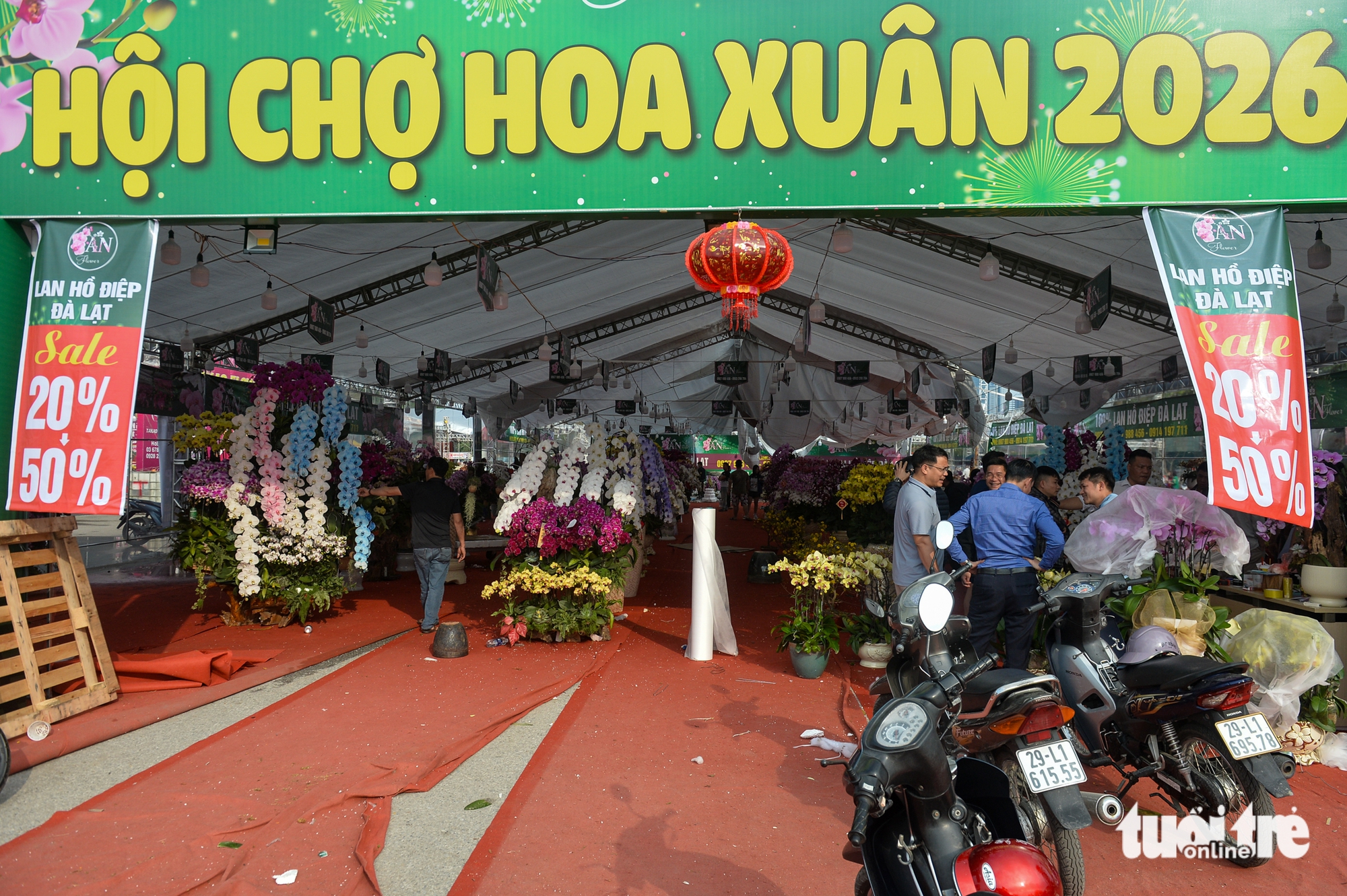 Hà Nội: đào, quất Tết nhiều nơi xả hàng, mai vàng còn 100.000 đồng 2 chậu - Ảnh 9.