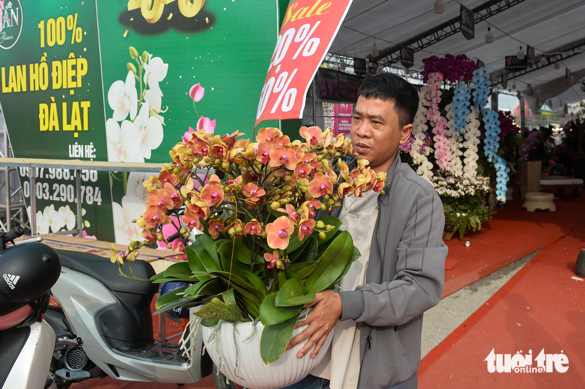 xả hàng - Ảnh 10.