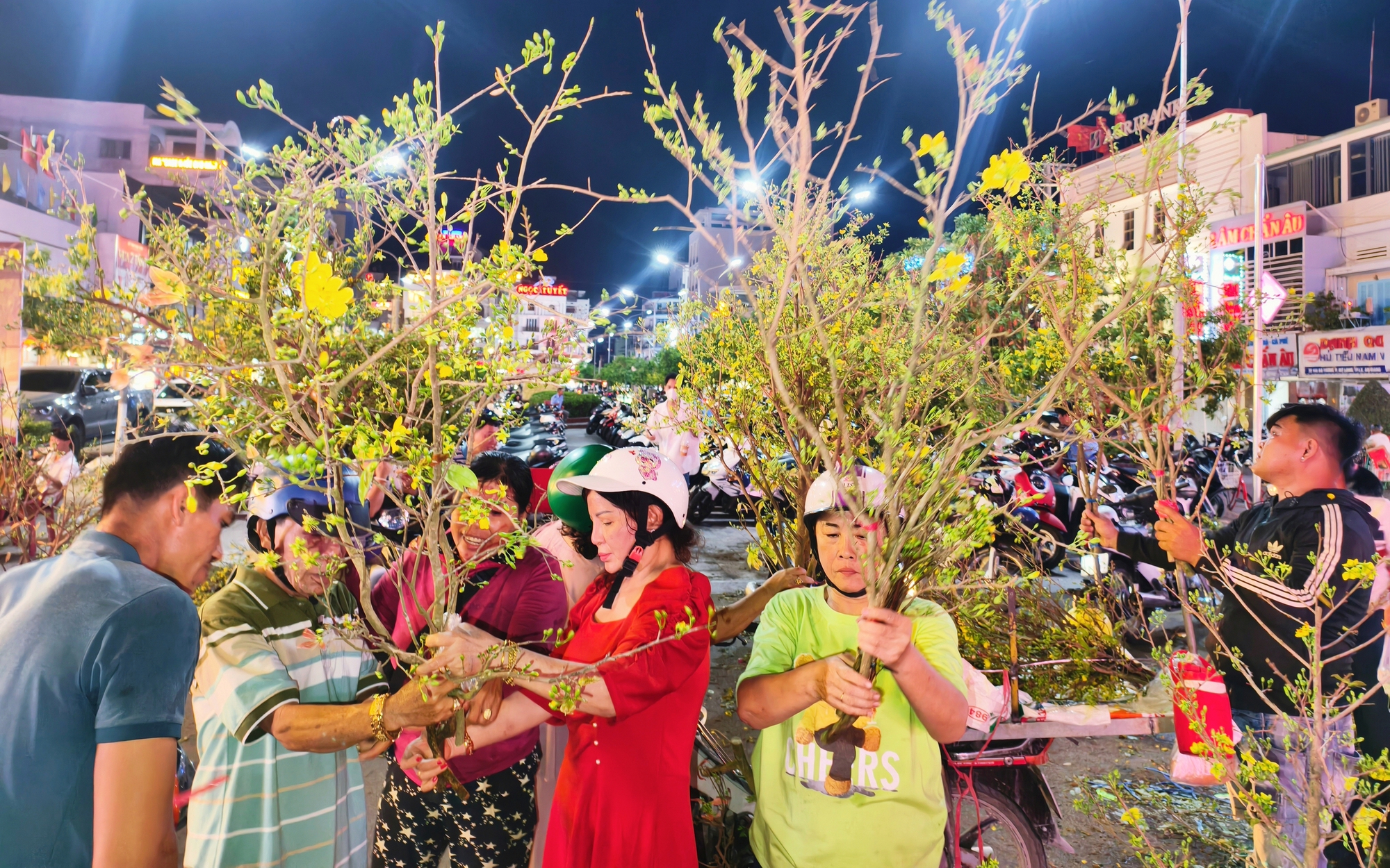 Nhộn nhịp mua bán nhánh mai vàng đón Tết Bính Ngọ tại An Giang