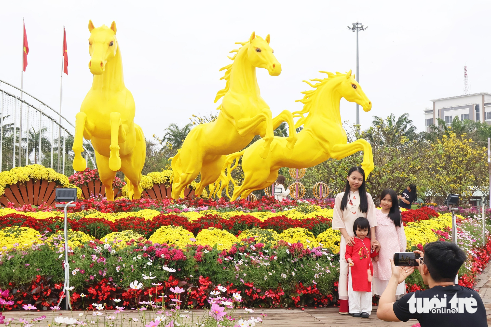 ngựa vàng - Ảnh 4.