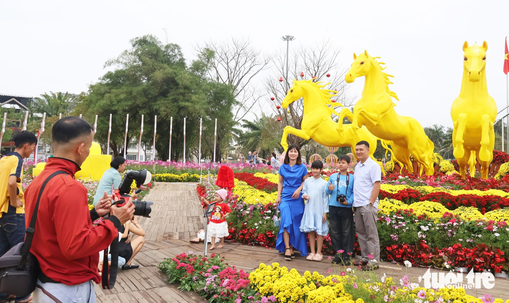 ngựa vàng - Ảnh 5.