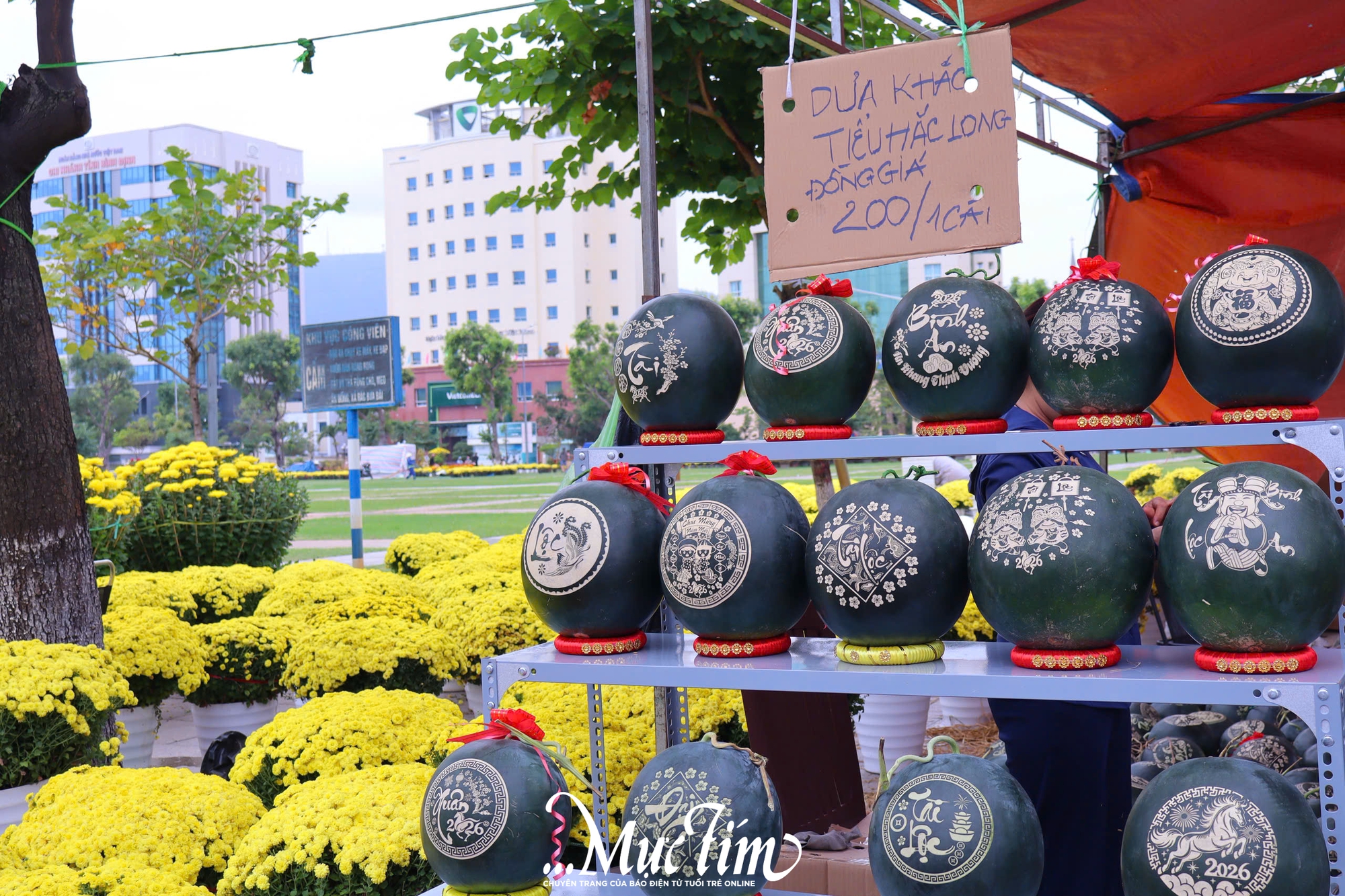 Dạo đường hoa Nguyễn Tất Thành (Gia Lai) ngày 29 Tết- Ảnh 8.