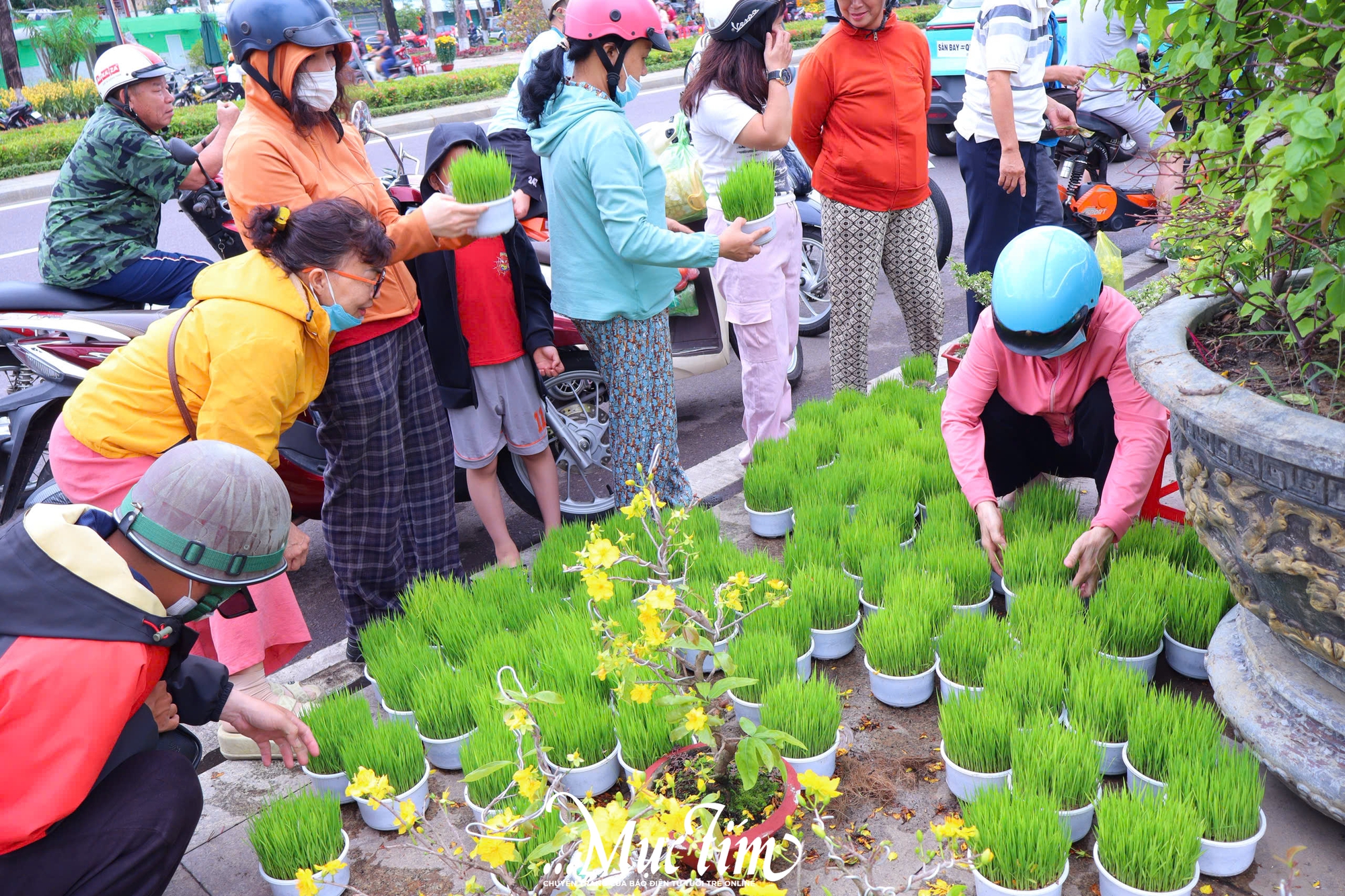 Dạo đường hoa Nguyễn Tất Thành (Gia Lai) ngày 29 Tết- Ảnh 14.