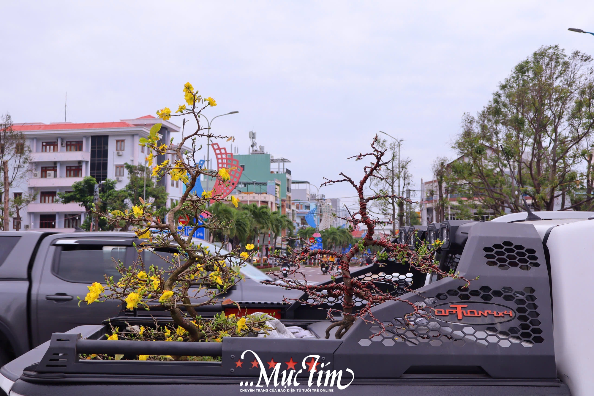 Dạo đường hoa Nguyễn Tất Thành (Gia Lai) ngày 29 Tết- Ảnh 26.