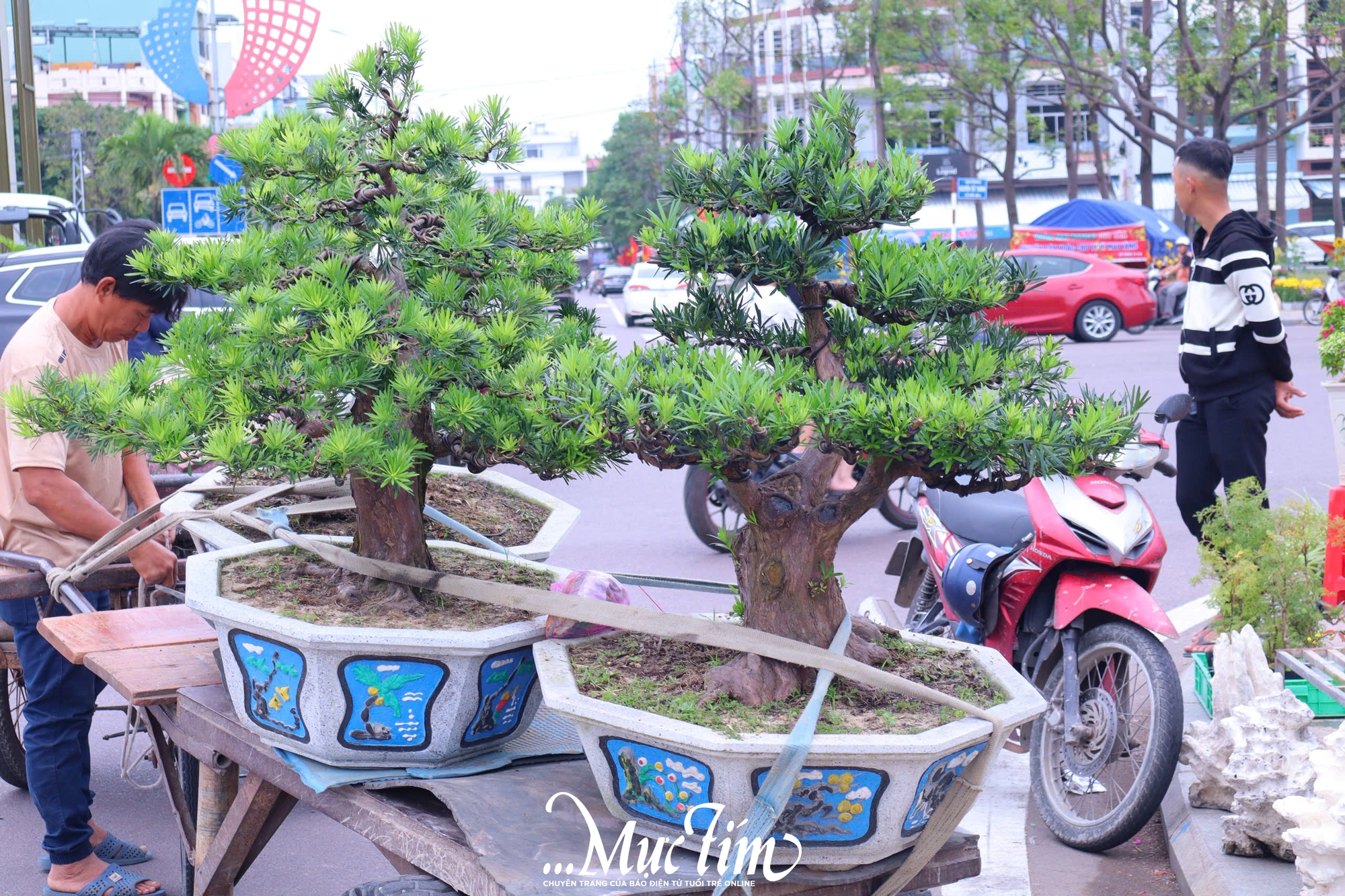 Dạo đường hoa Nguyễn Tất Thành (Gia Lai) ngày 29 Tết- Ảnh 27.