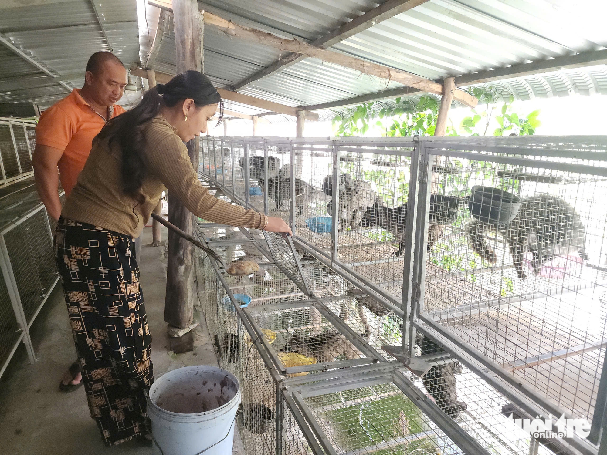 CHỒN HƯƠNG - Ảnh 3.