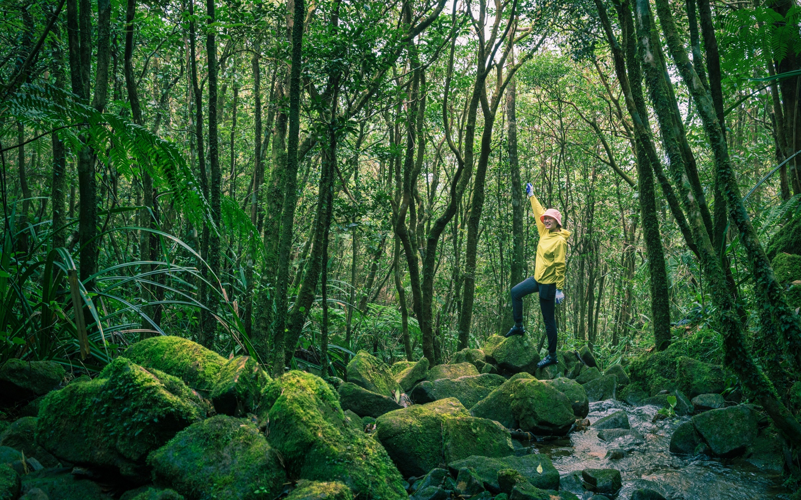 Chinh Phục Đỉnh Pa Thiên - Voi Mẹp: Hành Trình Trekking Hòa Quyện Thiên Nhiên Và Lịch Sử