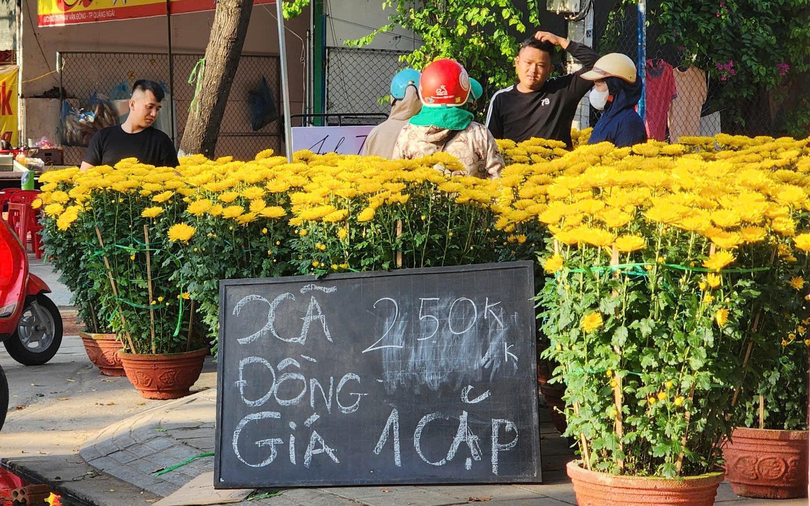 Chợ hoa Tết Quảng Ngãi ế ẩm, tiểu thương đồng loạt xả hàng nhưng vẫn khó bán