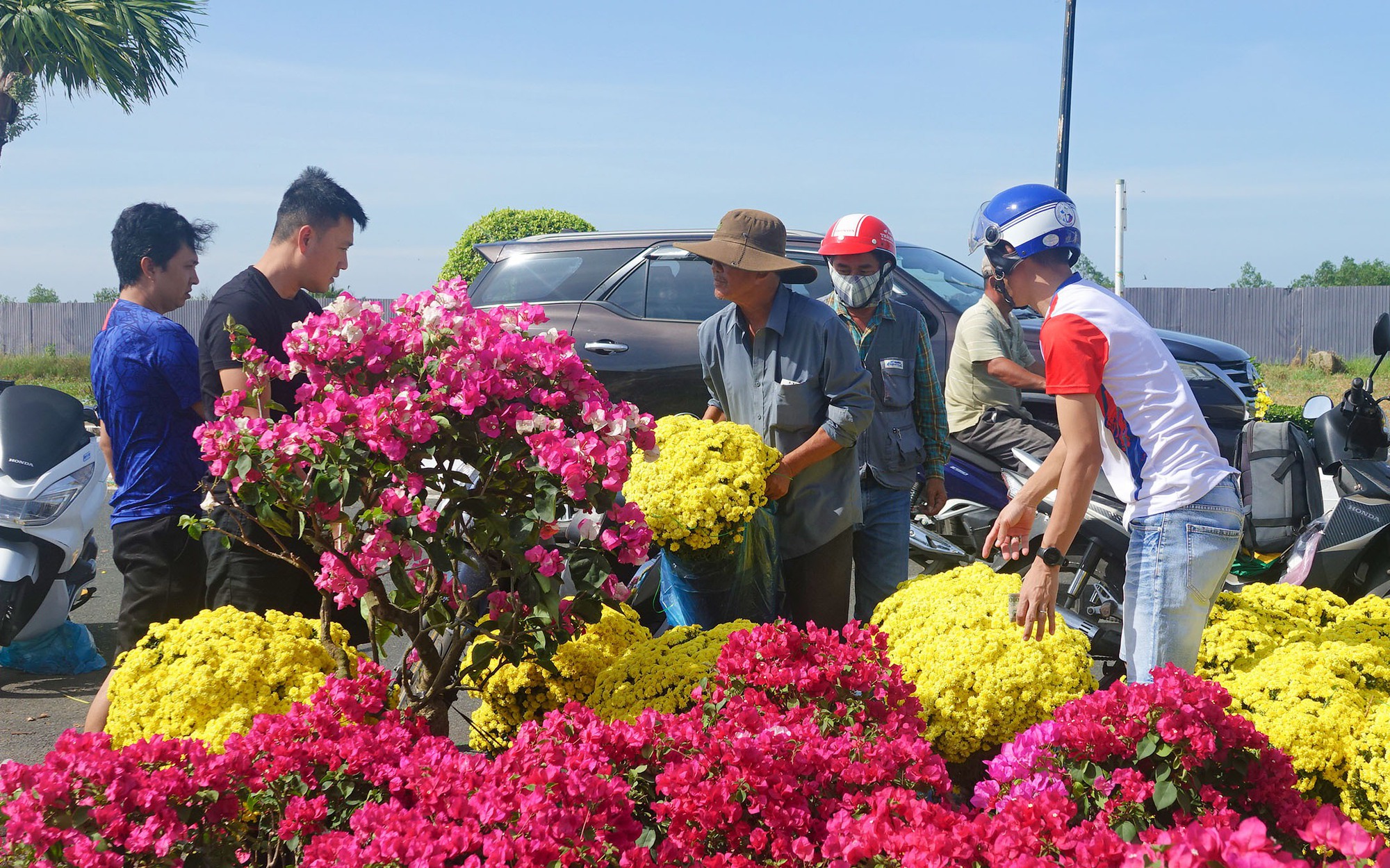 Người dân An Giang đổ xô mua hoa Tết giảm giá 50% ngày 29 Tết