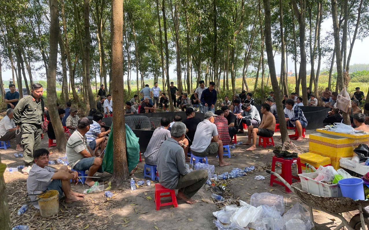 Tây Ninh: Bắt quả tang 61 người đá gà đánh bạc, tổng số tiền cược hơn 974 triệu đồng