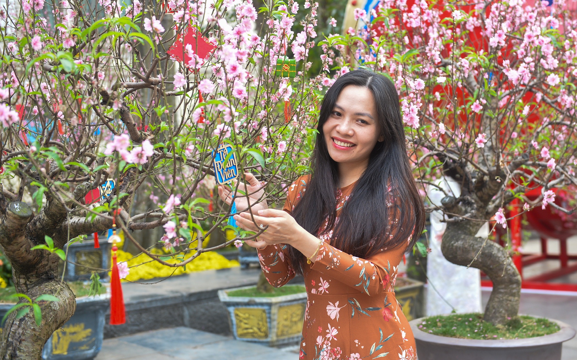 Không khí Tết rộn ràng khắp các thành phố lớn: Hà Nội, TP.HCM, Hải Phòng, Cần Thơ, An Giang