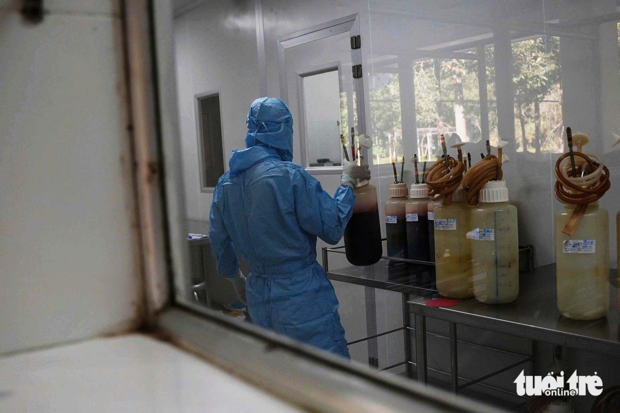 con ngựa - Ảnh 7.