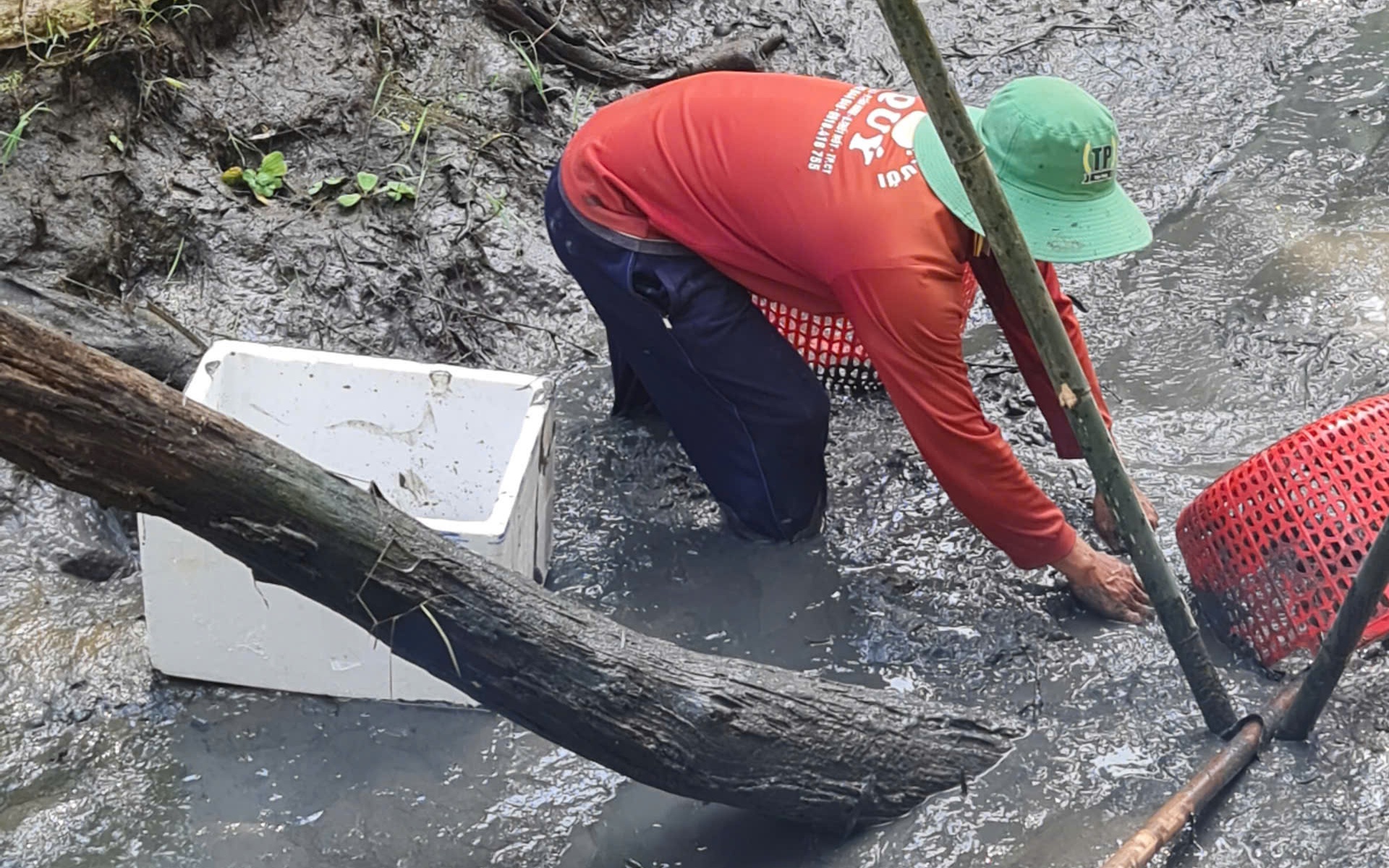 Trải Nghiệm Tết Miền Tây: Tát Mương Bắt Cá, Thưởng Thức Ẩm Thực Địa Phương