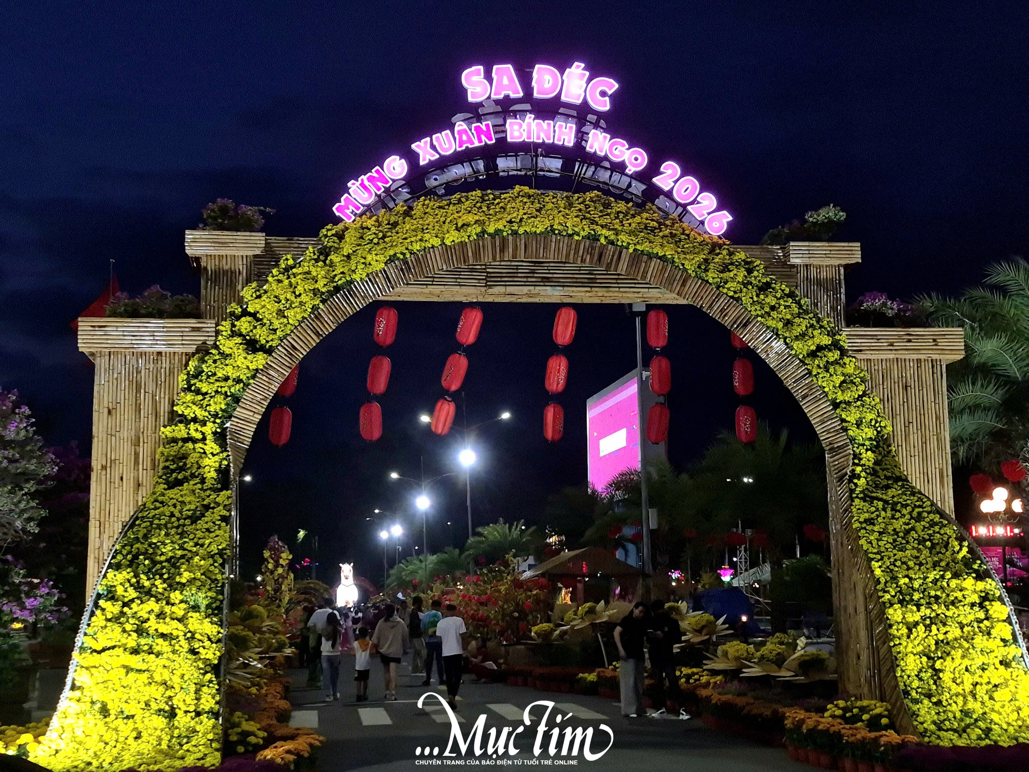 Check-in linh vật ngựa chở đầy hoa tại phường Sa Đéc (Đồng Tháp)- Ảnh 6. Check-in linh vật ngựa chở đầy hoa tại phường Sa Đéc (Đồng Tháp)- Ảnh 6.