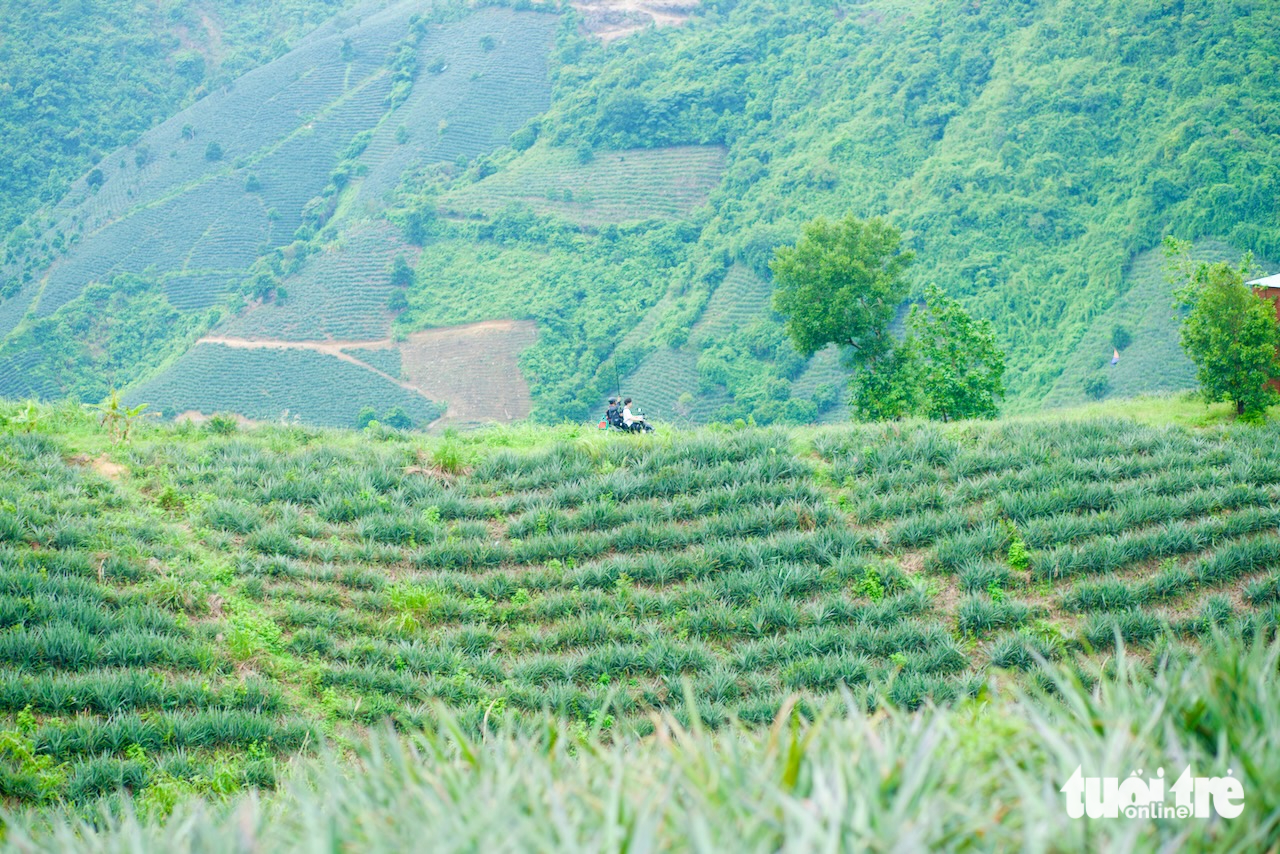 thung lũng Đồng Din - Ảnh 2.