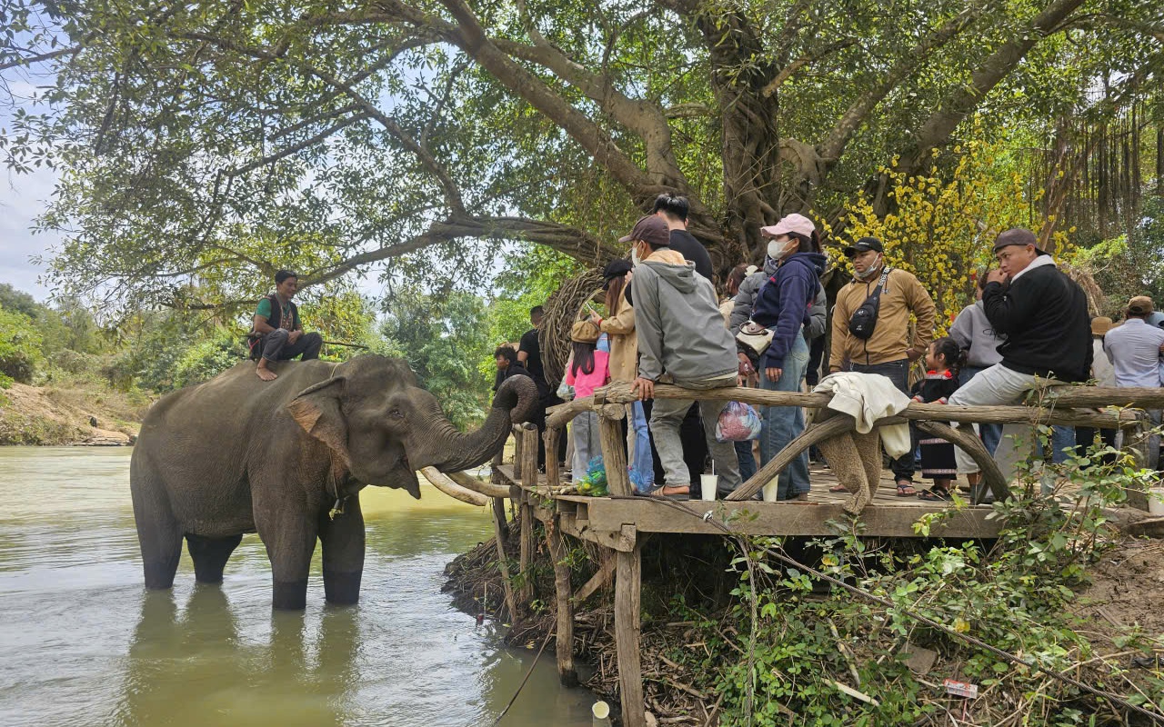 Du khách tuổi Ngọ đổ về Buôn Đôn nhận ưu đãi miễn phí dịp Tết