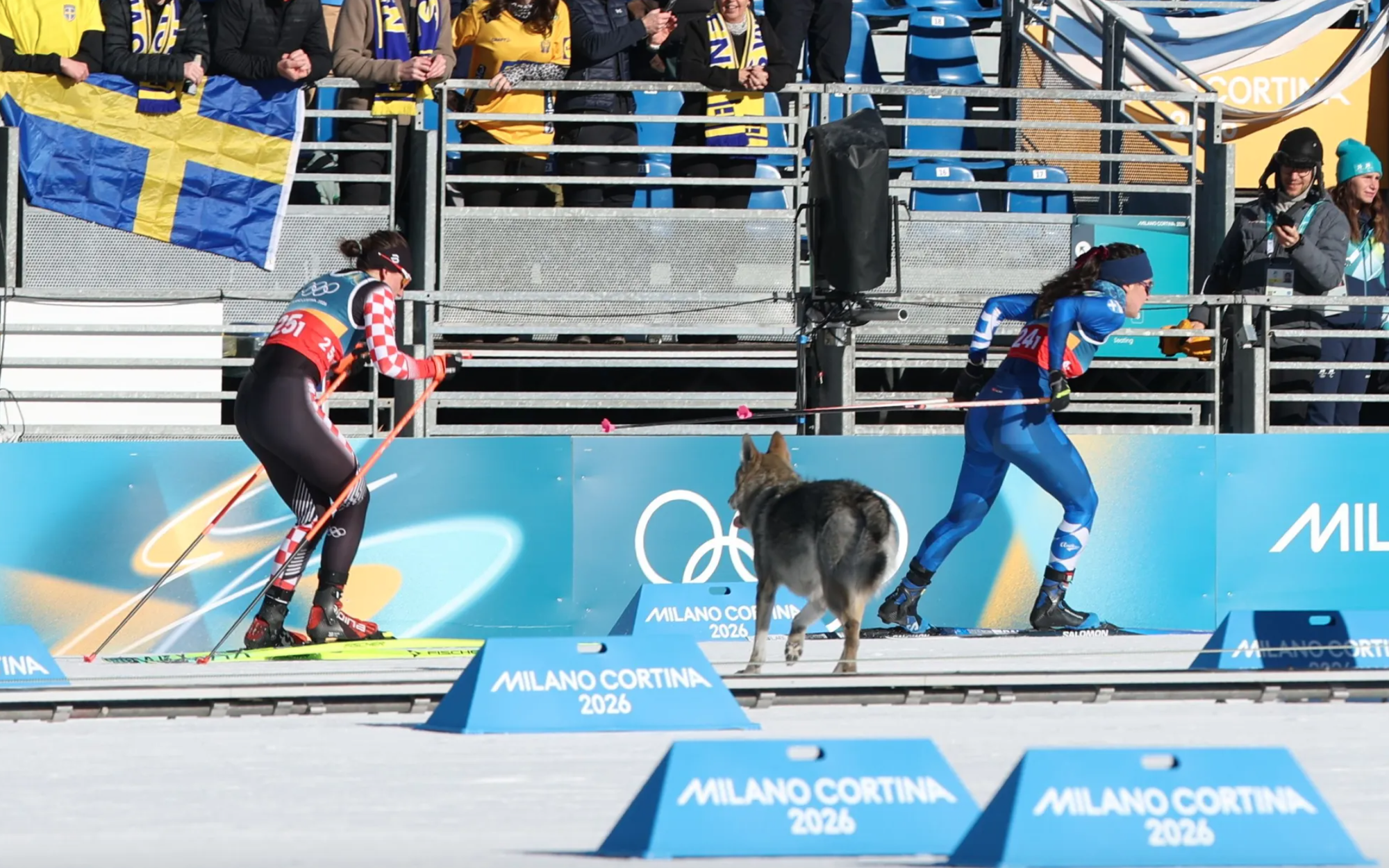 Lý do HLV trượt băng liên tục thay áo 13 đoàn ở Olympic mùa đông - Ảnh 1.