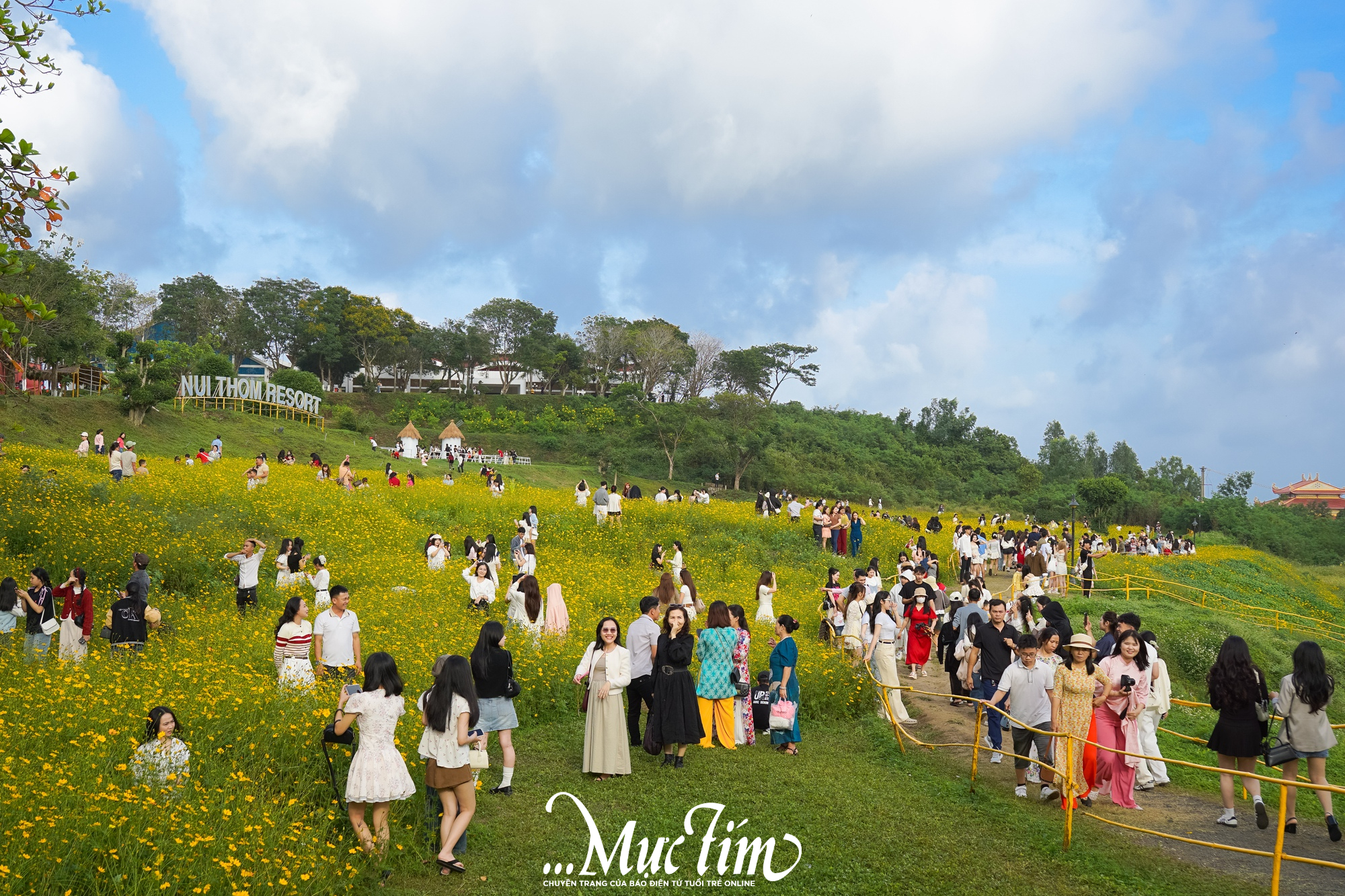 Cánh đồng hoa ở Đắk Lắk có gì khiến các 'nàng thơ' chen chúc check-in dịp Tết này?- Ảnh 2.