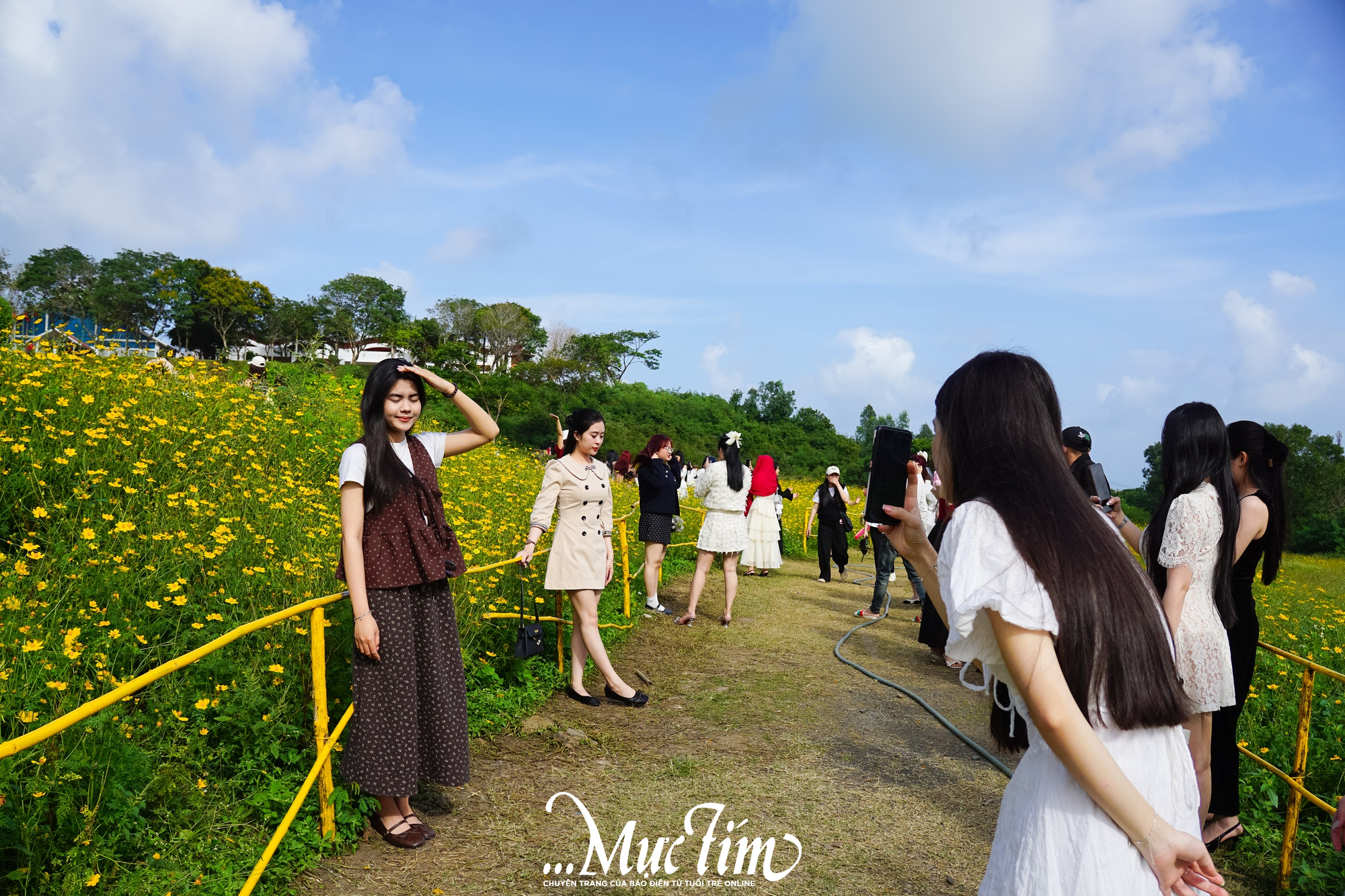 Cánh đồng hoa ở Đắk Lắk có gì khiến các 'nàng thơ' chen chúc check-in dịp Tết này?- Ảnh 3.