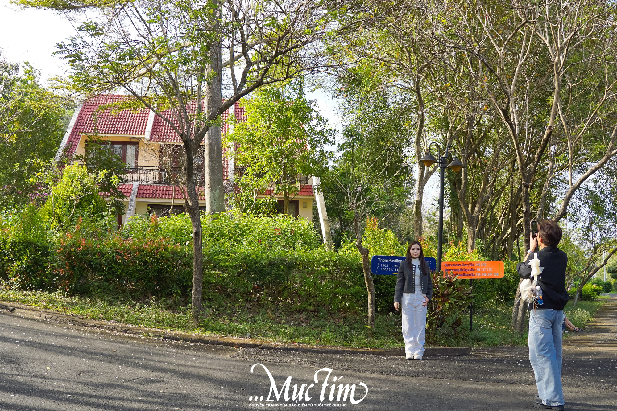 Cánh đồng hoa ở Đắk Lắk có gì khiến các 'nàng thơ' chen chúc check-in dịp Tết này?- Ảnh 11.