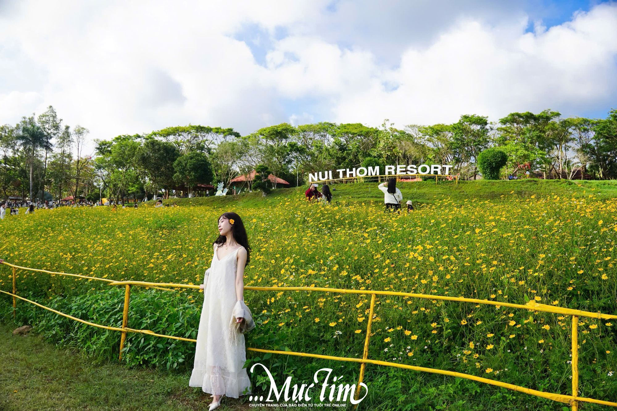 Cánh đồng hoa ở Đắk Lắk có gì khiến các 'nàng thơ' chen chúc check-in dịp Tết này?- Ảnh 1.