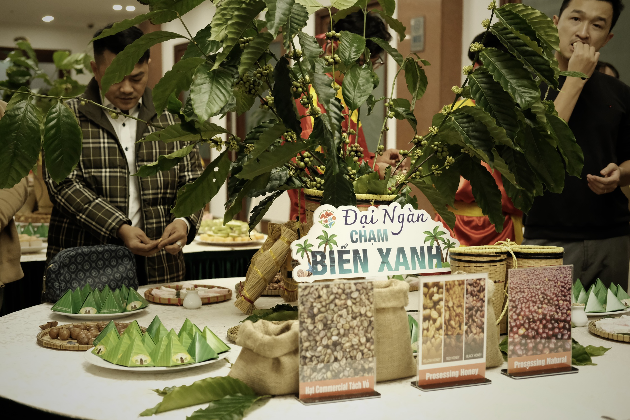 Gia Lai's vibrant colors in Hanoi