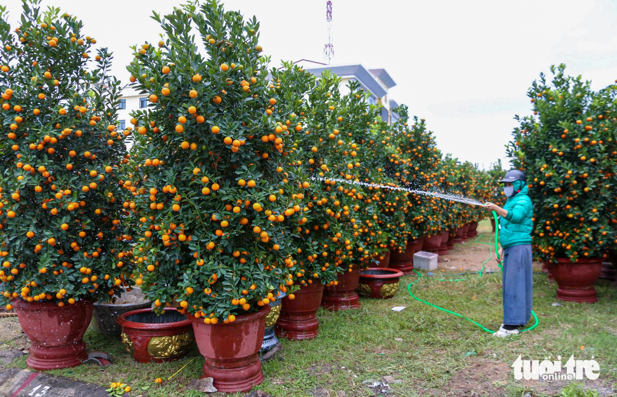 Đà Nẵng - Ảnh 1.