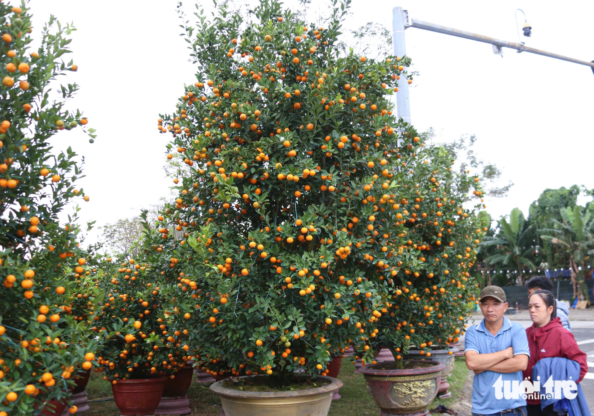 Đà Nẵng - Ảnh 4.