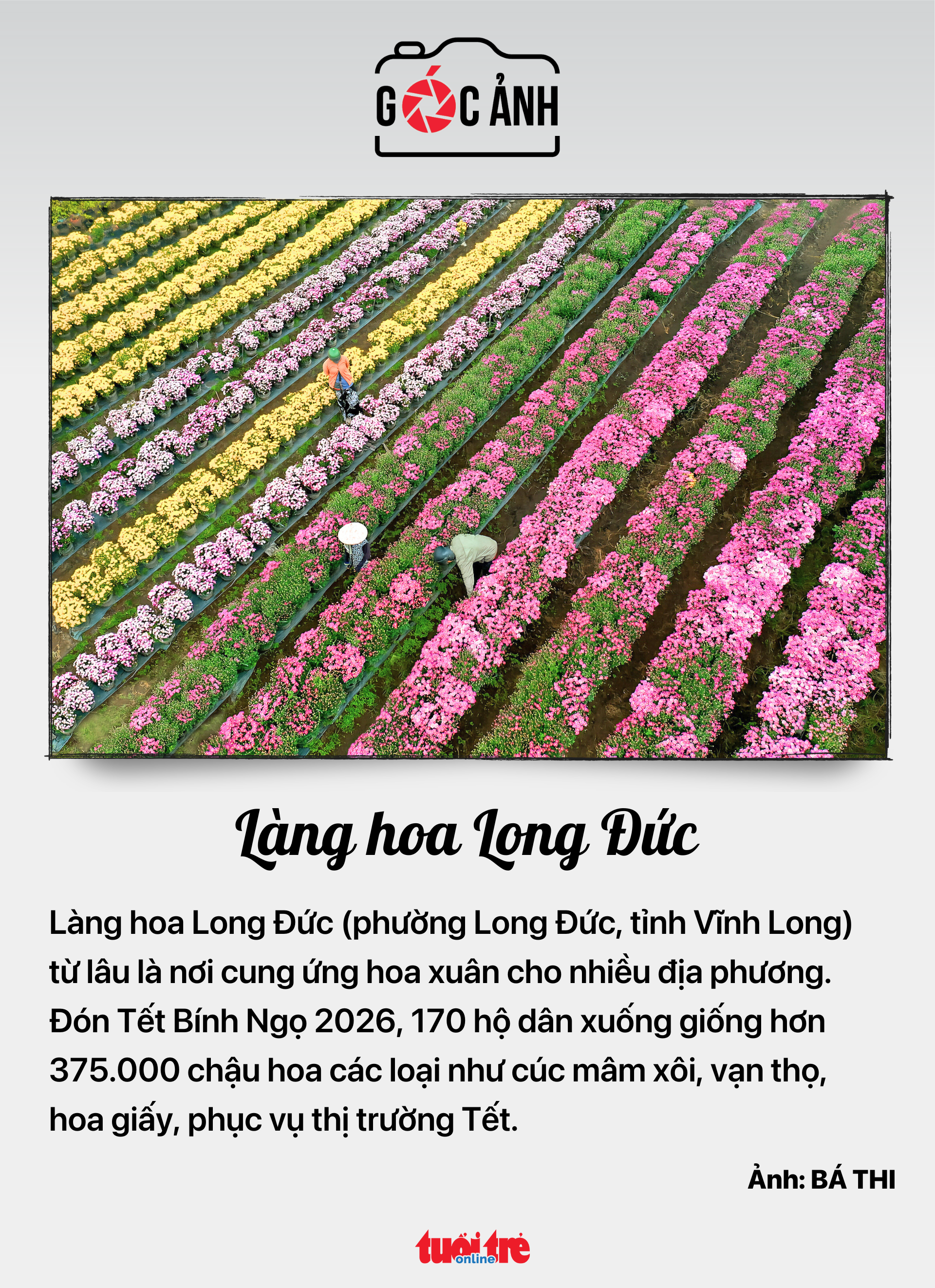 bí thư chi bộ - Ảnh 6.