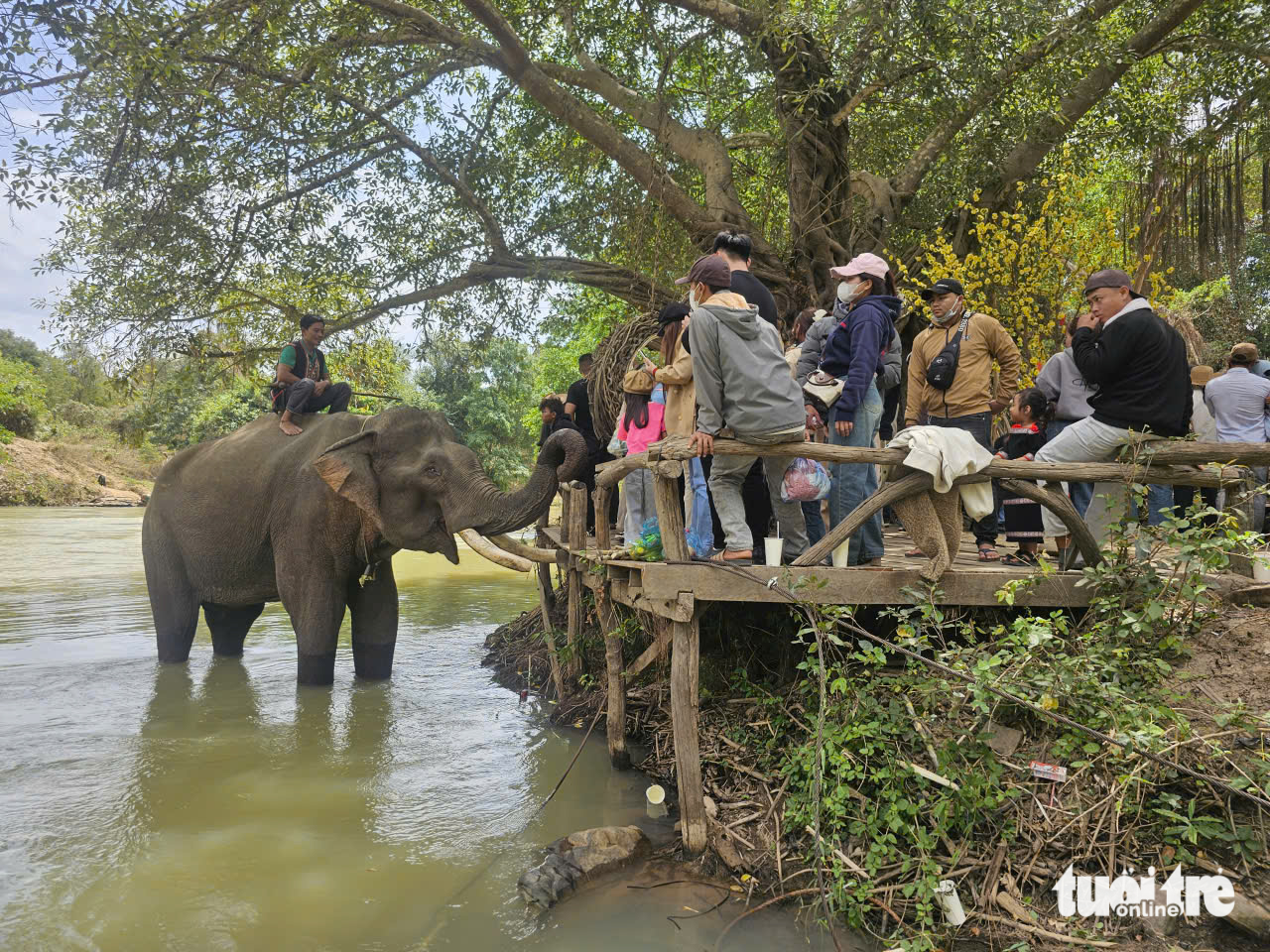 Đắk Lắk  - Ảnh 2.