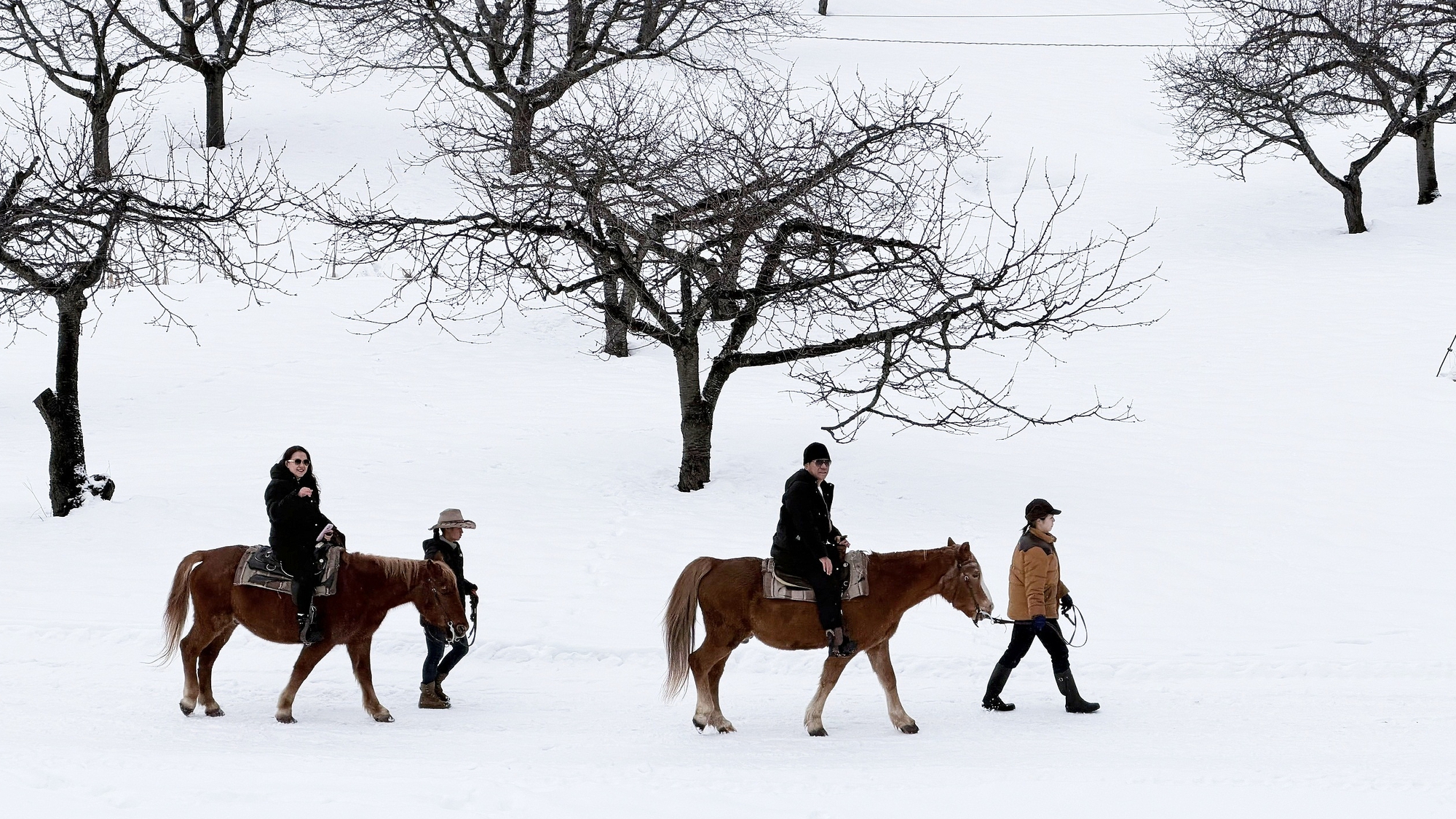 cưỡi ngựa - Ảnh 1.