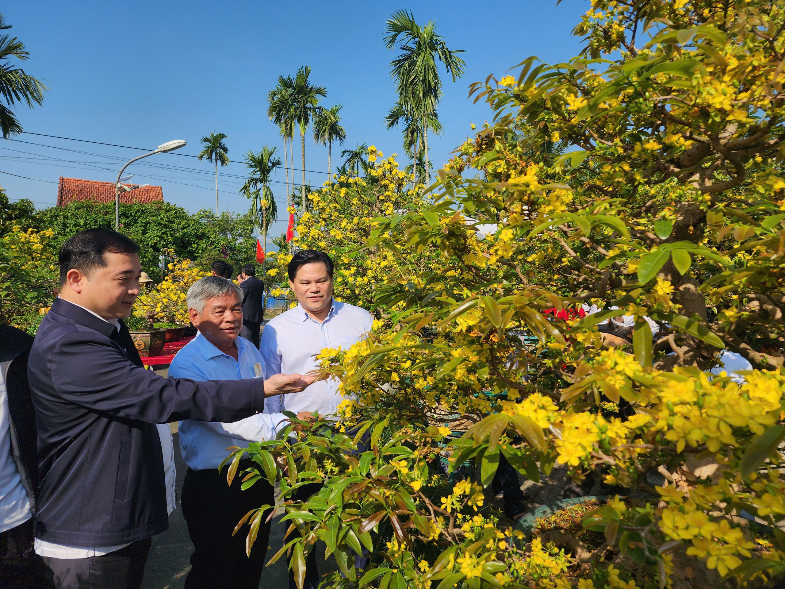 'Ngày Bonsai - Mai vàng Nghĩa Hành 2026' đón nghệ nhân, du khách thưởng lãm dịp đầu năm - Ảnh 1.