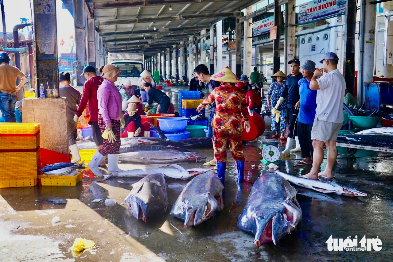 ngư dân - Ảnh 5.