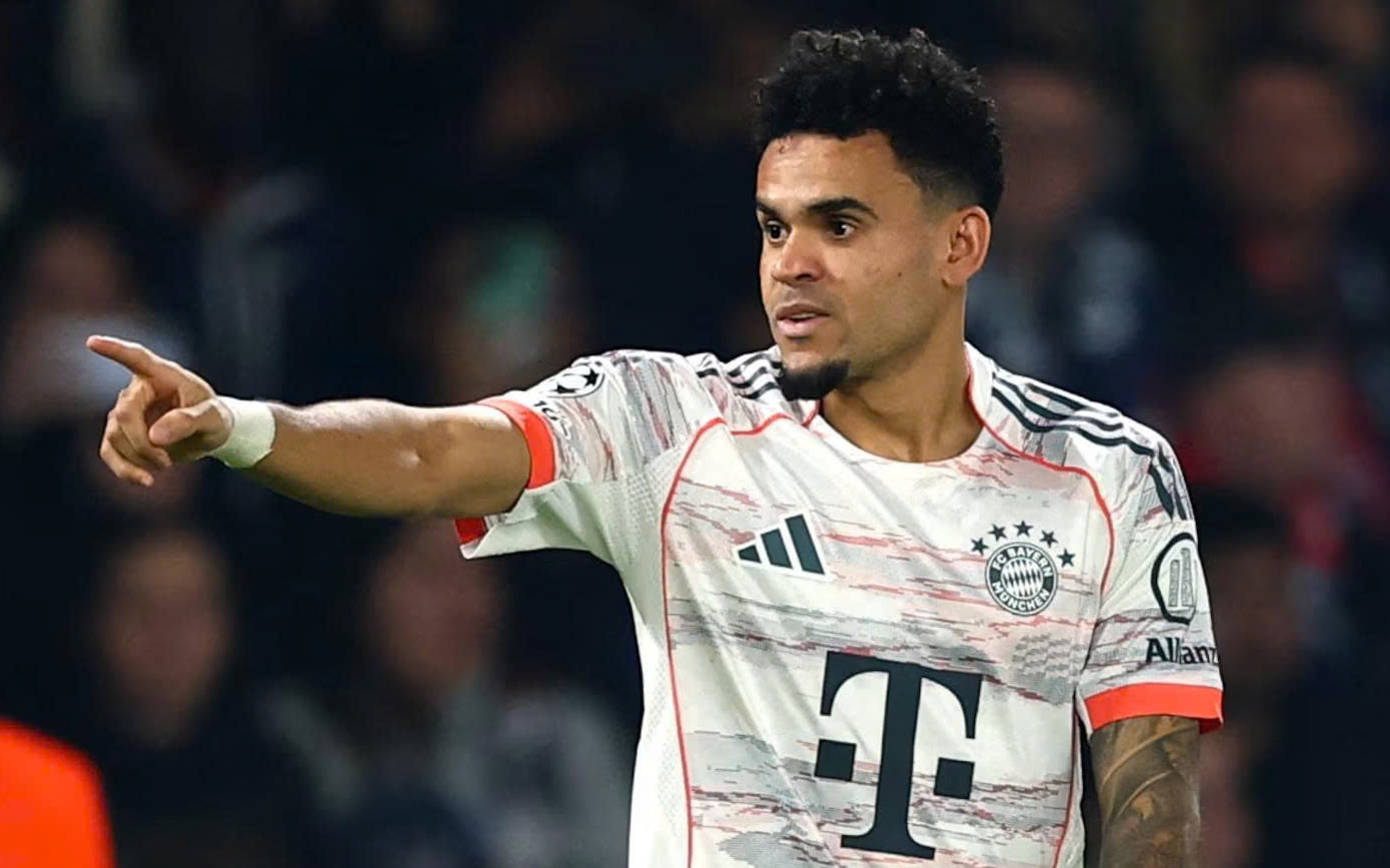 Trận đấu tạm dừng vì cầu thủ bận hô hấp nhân tạo cứu chim hải âu - Ảnh 1.