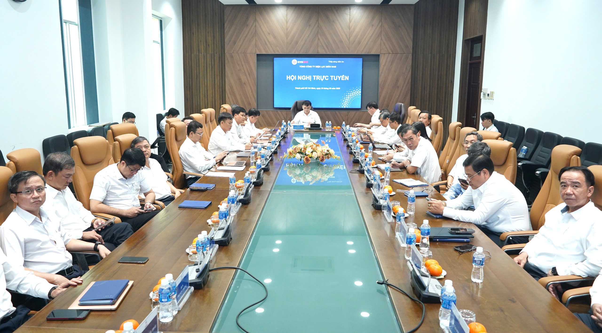 điện lực miền nam - Ảnh 1.