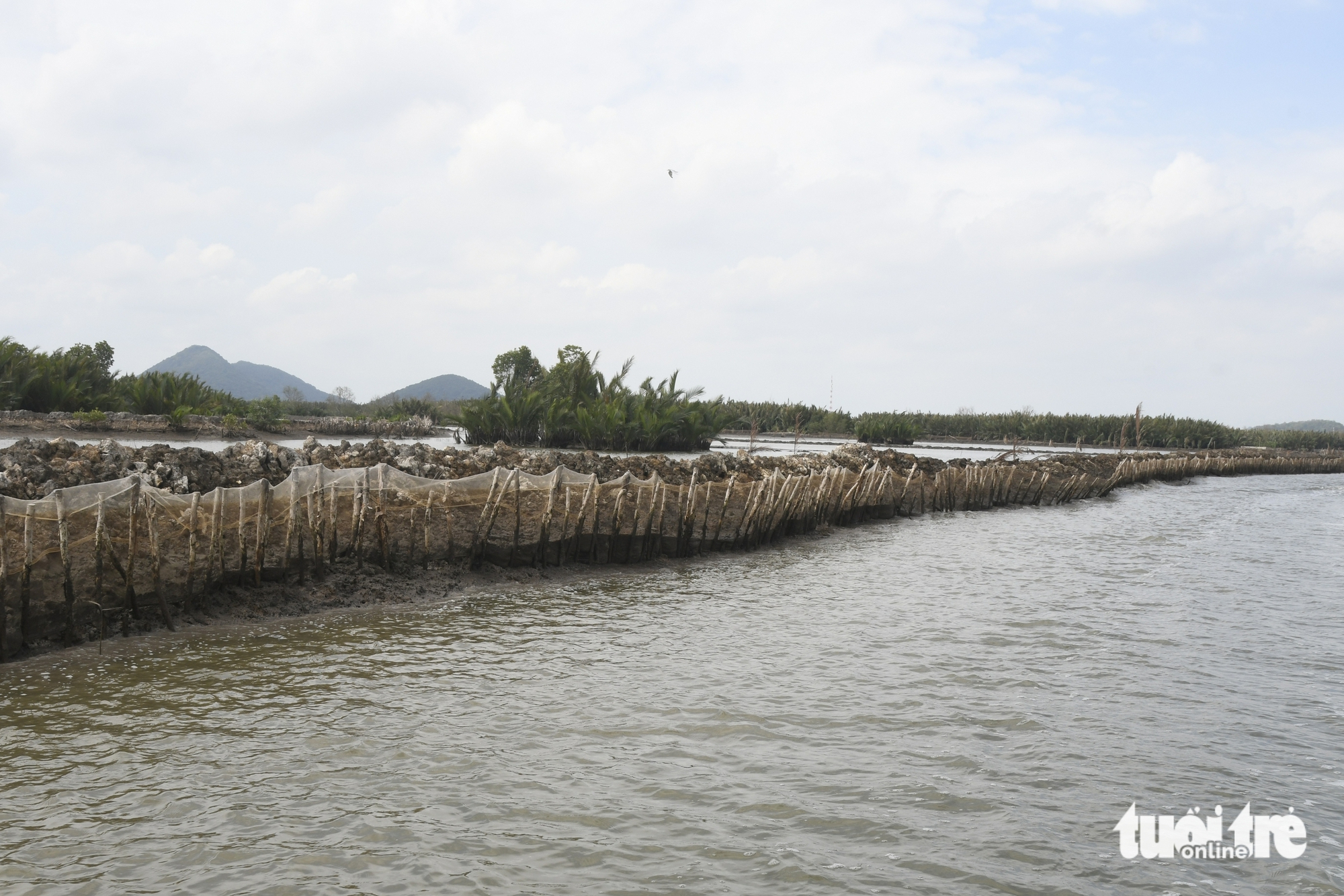 đầm Đông Hồ - Ảnh 1.