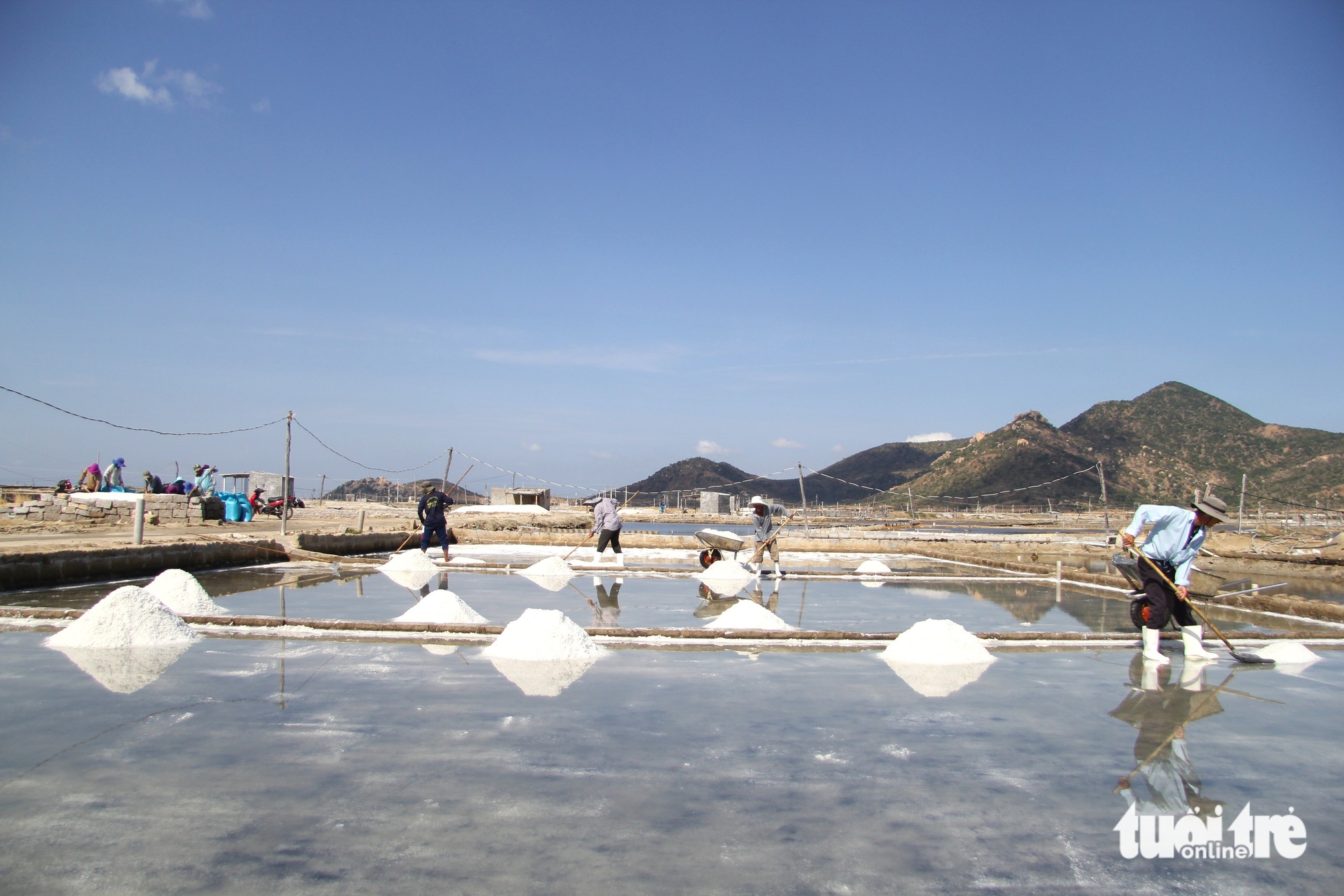 Diêm dân Ninh Thuận cũ vui khi muối được mùa được giá - Ảnh 1.