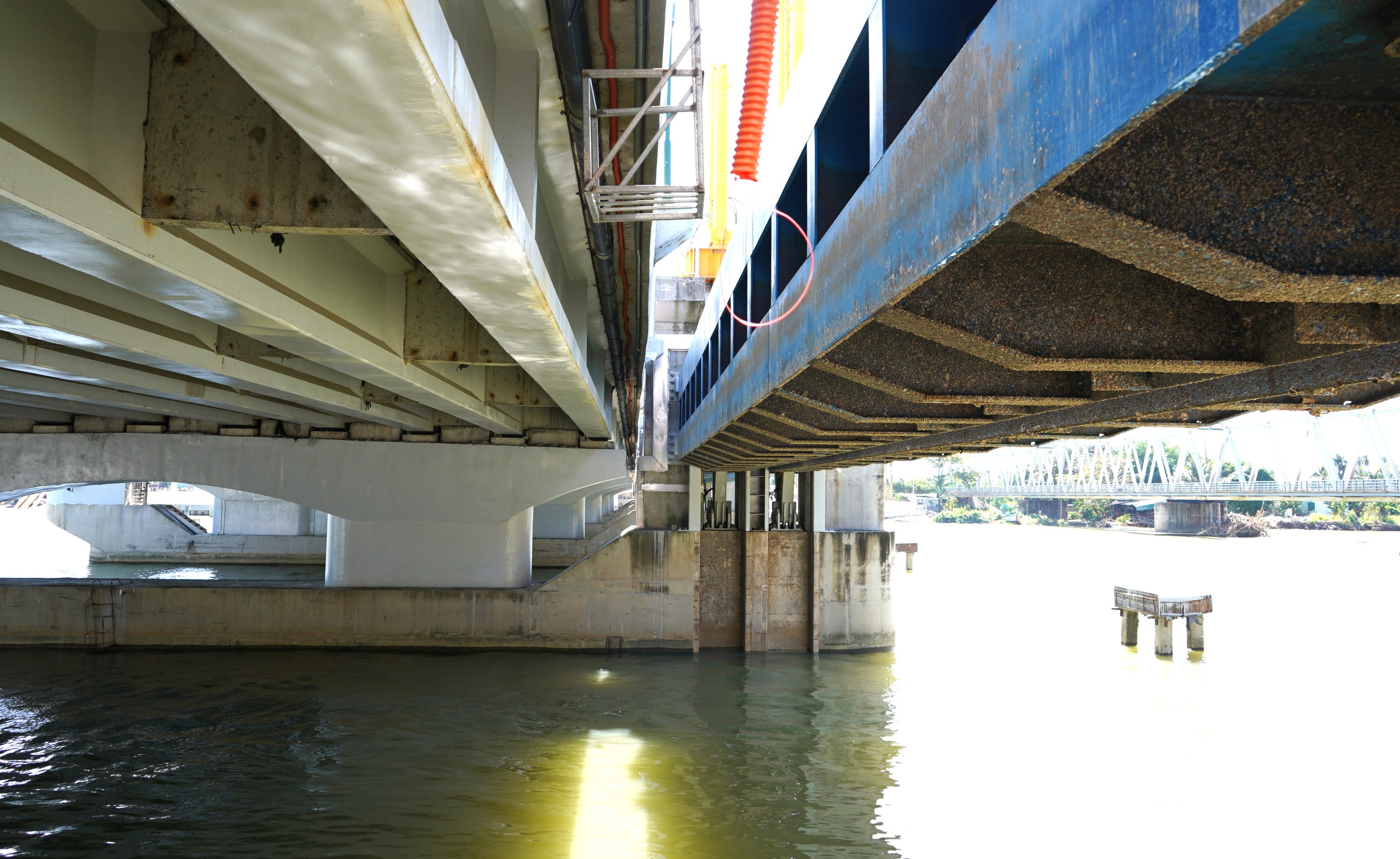 Nha Trang - Ảnh 4.