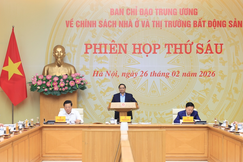 Thủ tướng - Ảnh 1.
