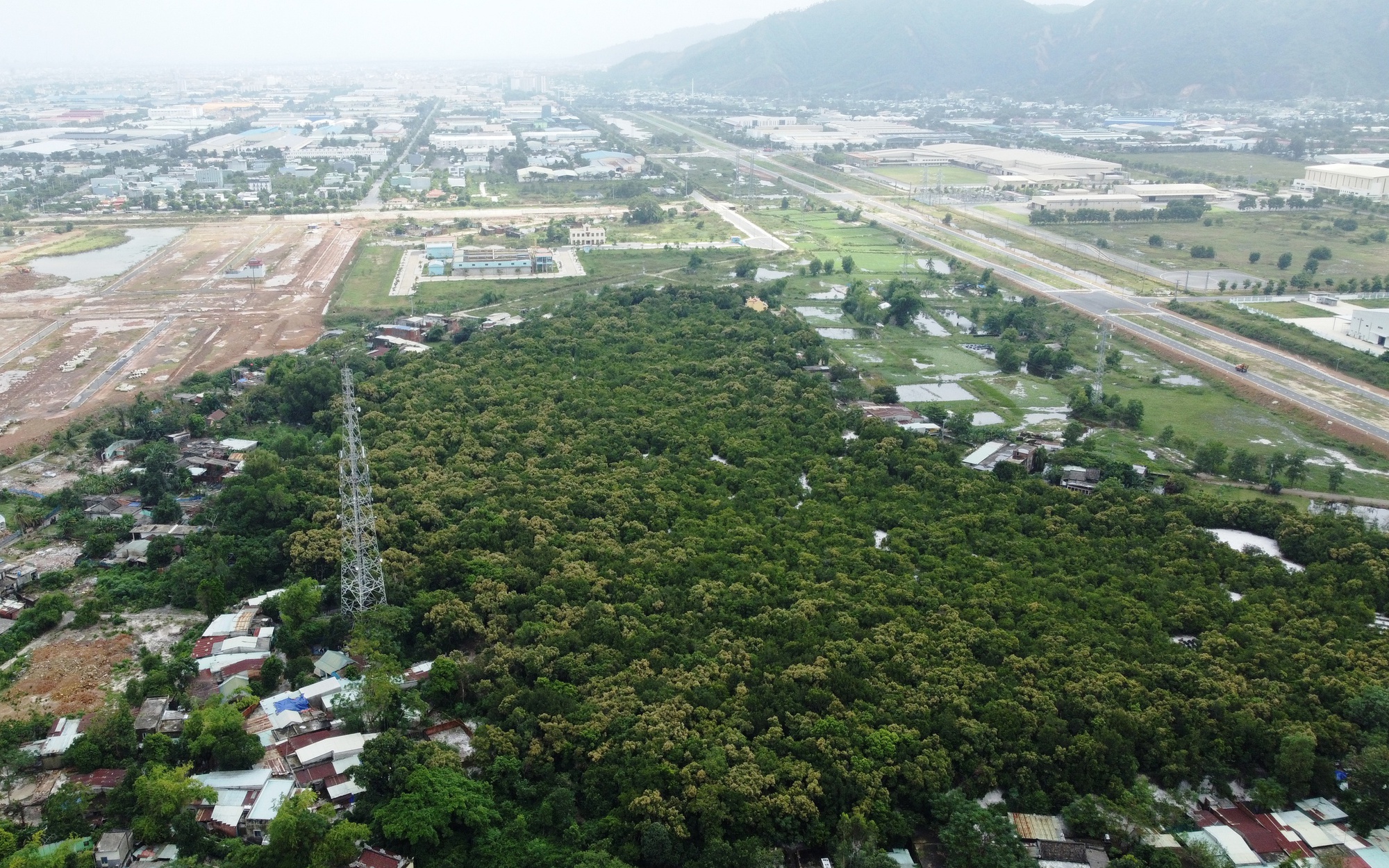 Đà Nẵng: Rừng Trung Sơn chờ công nhận di tích giữa lòng đô thị
