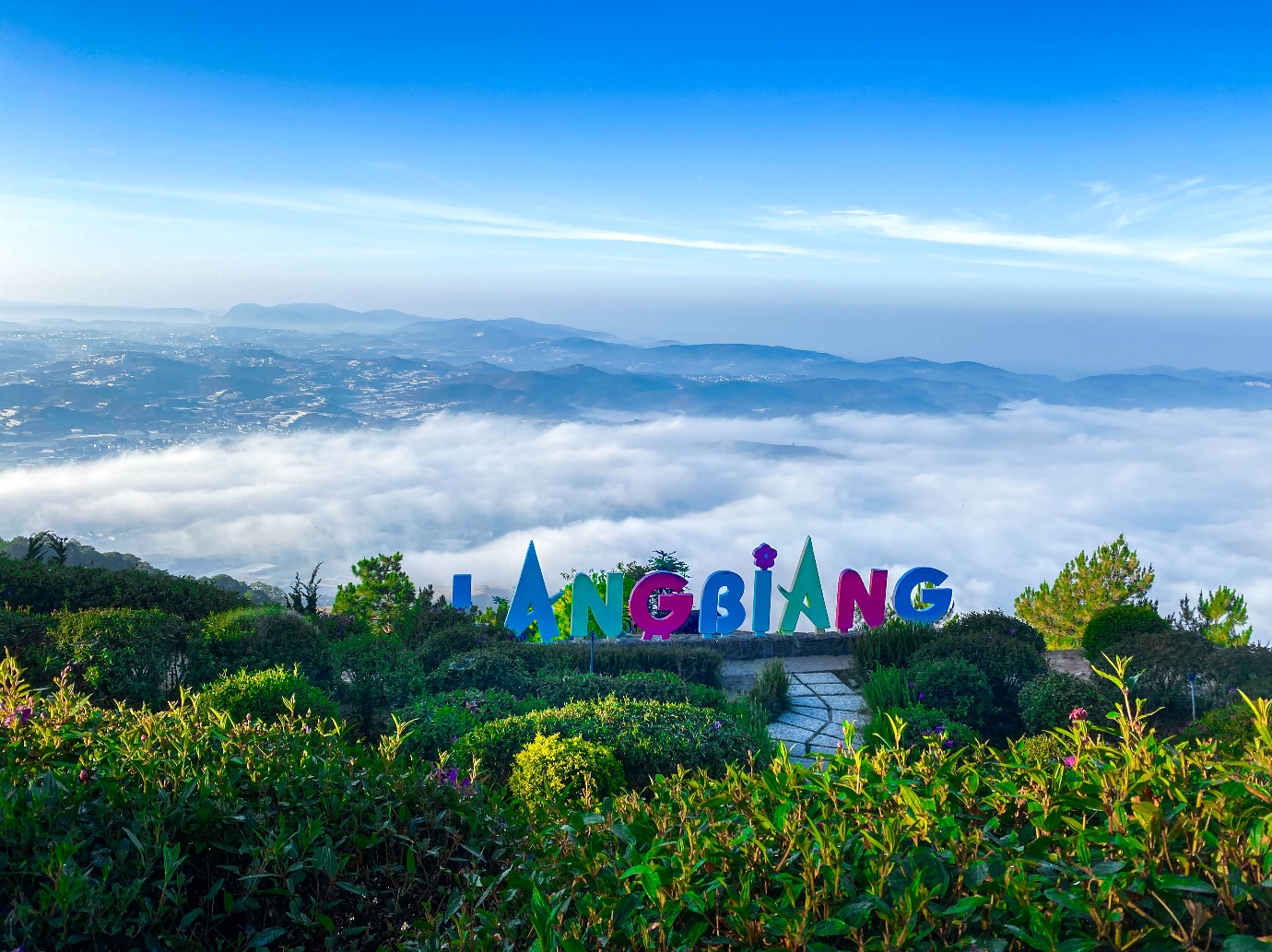 Du xuân 2026: Khám phá sức sống Đà Lạt cùng Dalattourist - Ảnh 1.