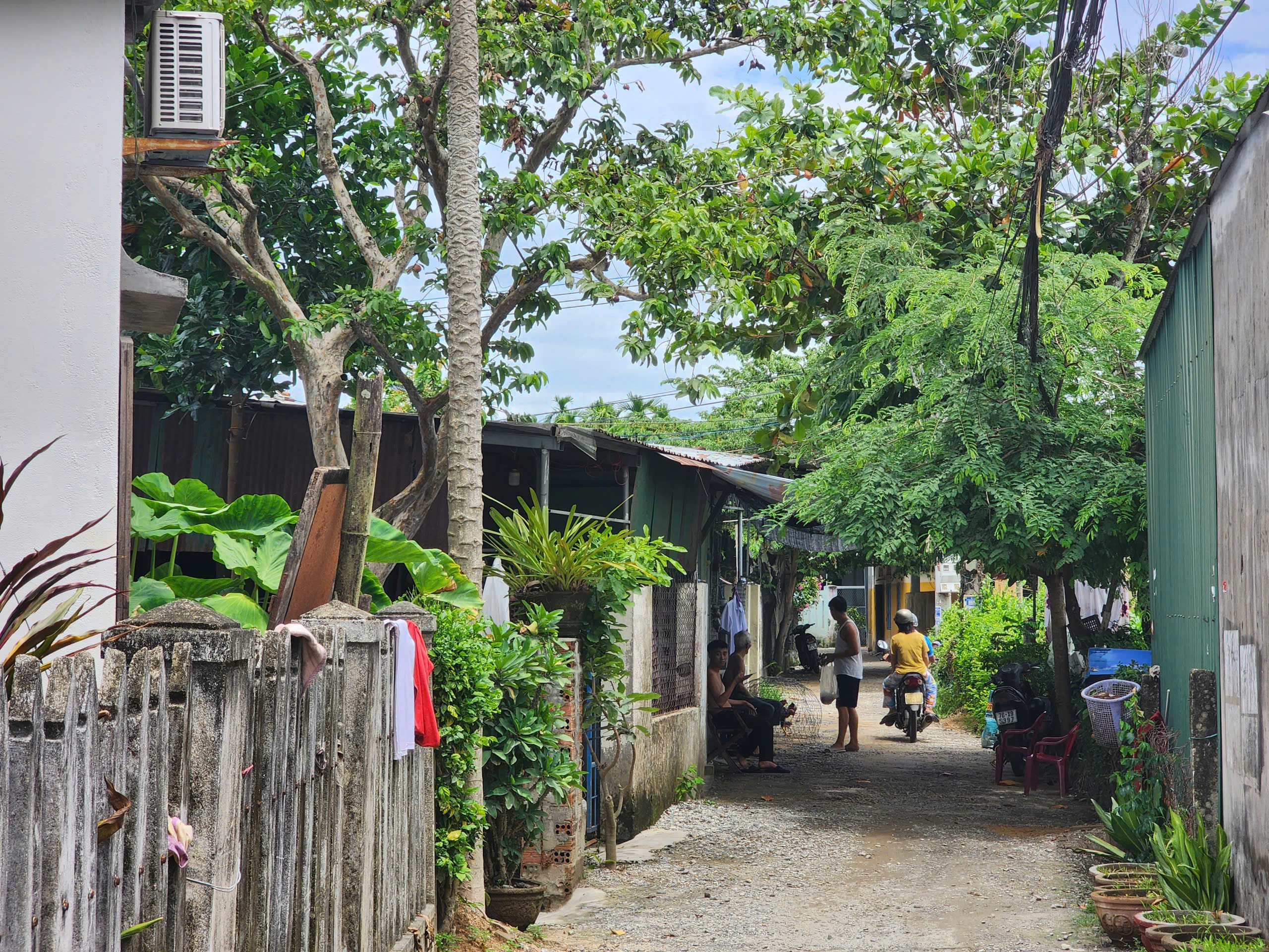 Công viên cây xanh Thạch Bích - Ảnh 3.