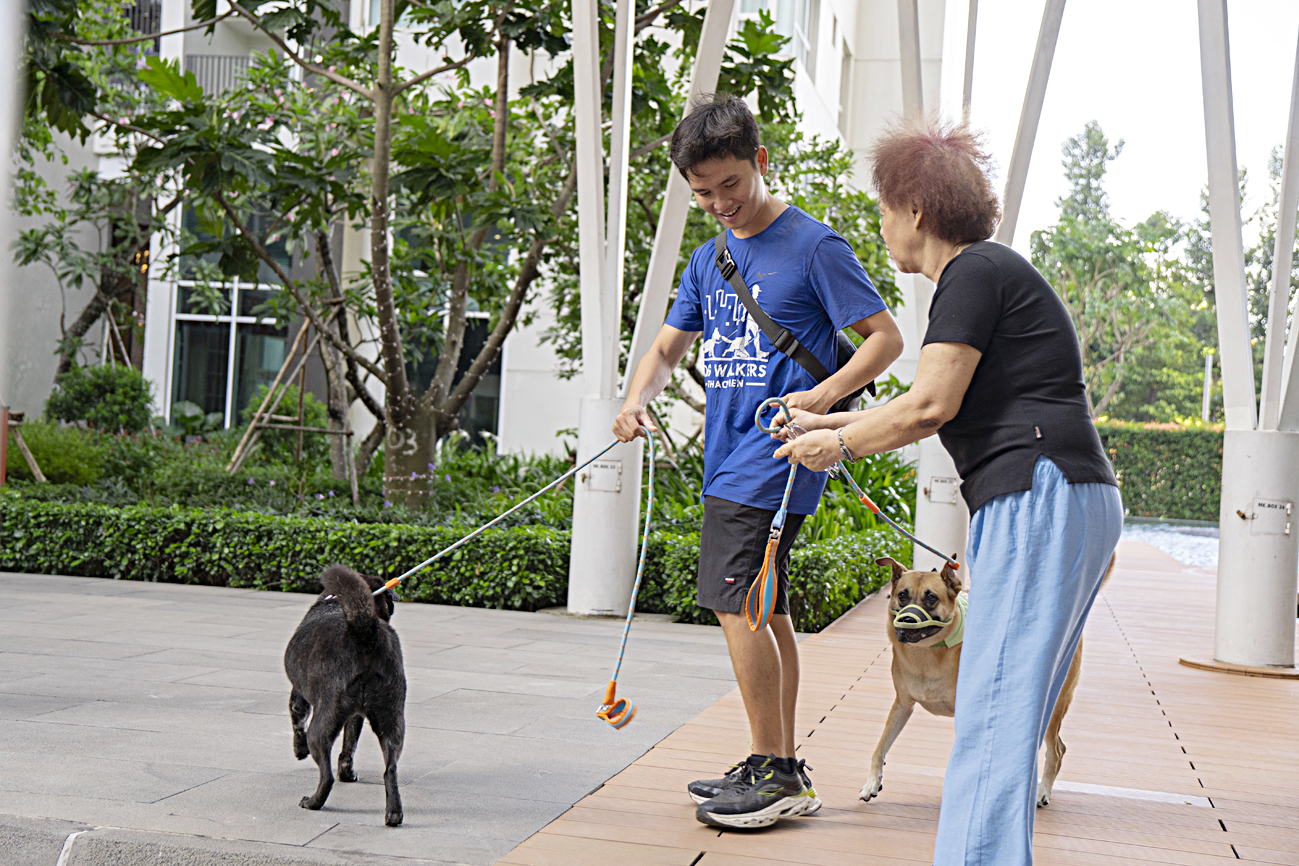 dắt chó - Ảnh 3.